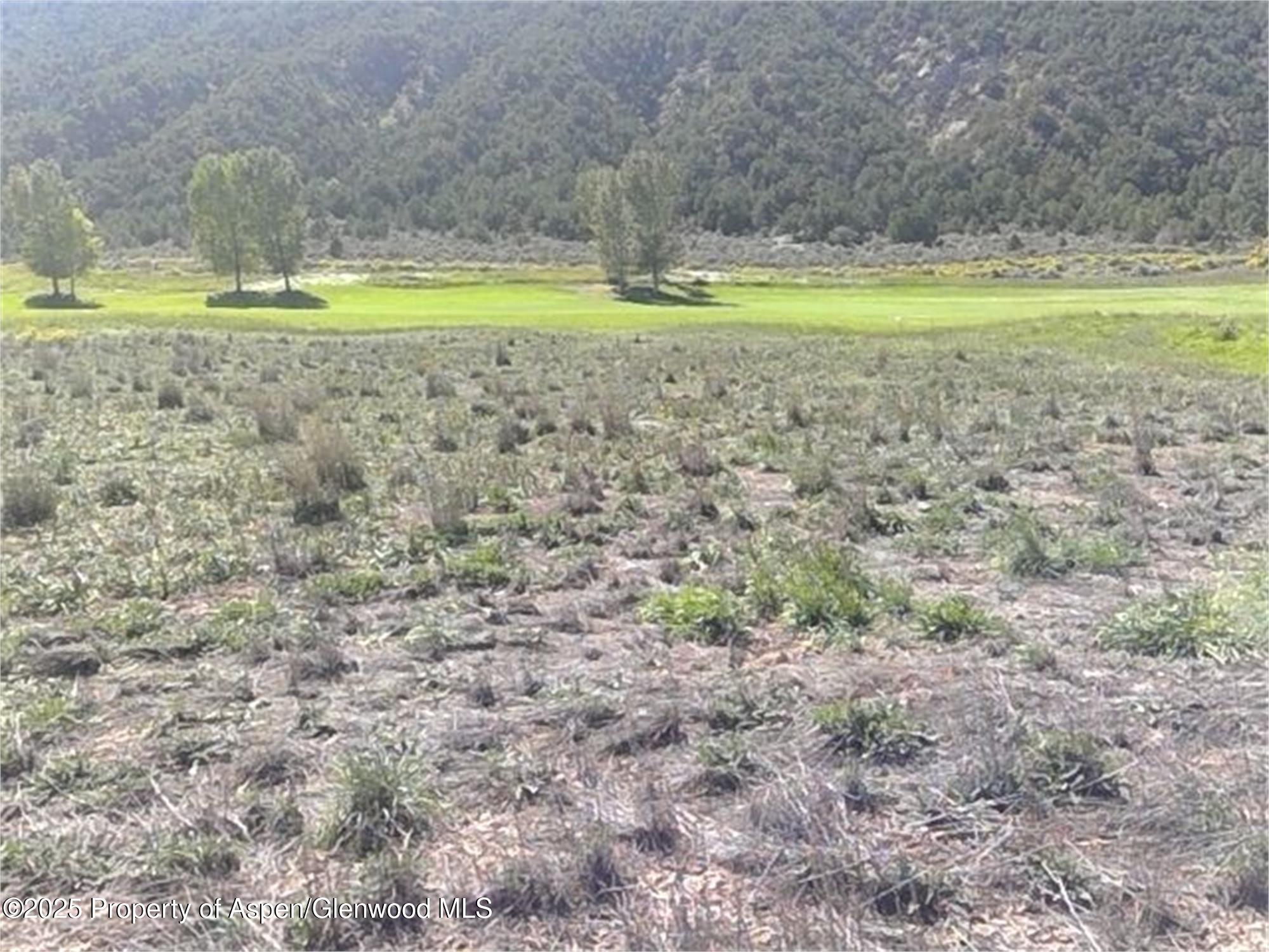 225 Saddleback Road