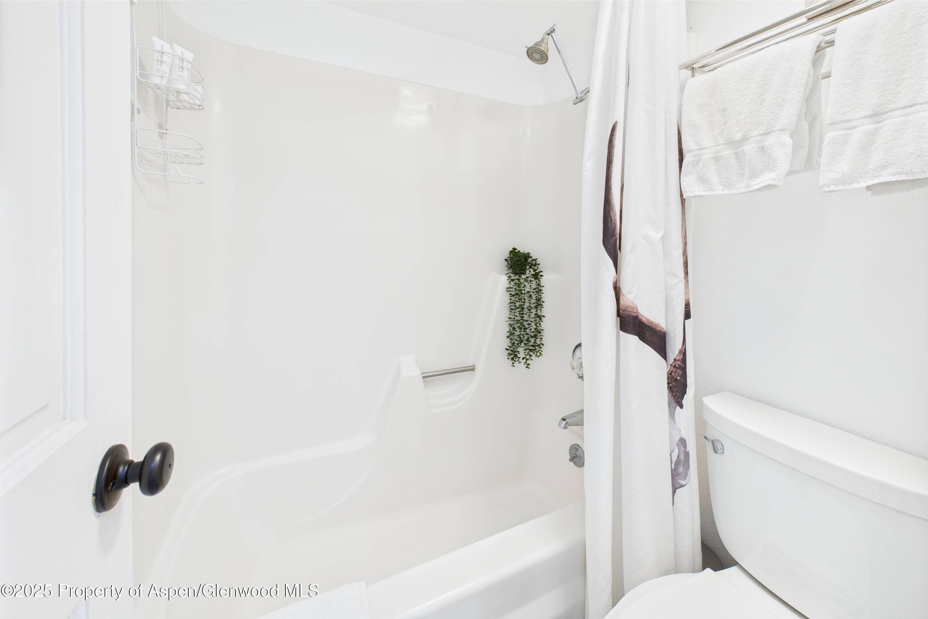 311 S Aspen Street Unit: 3