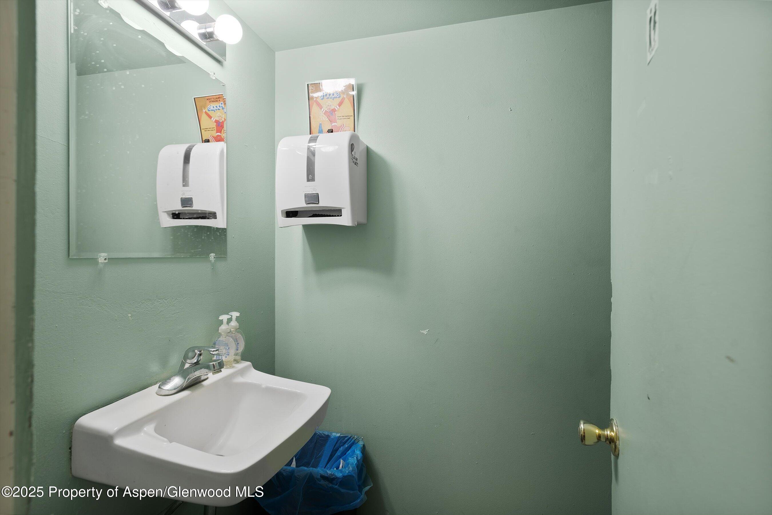 408 E Cooper Avenue, Aspen