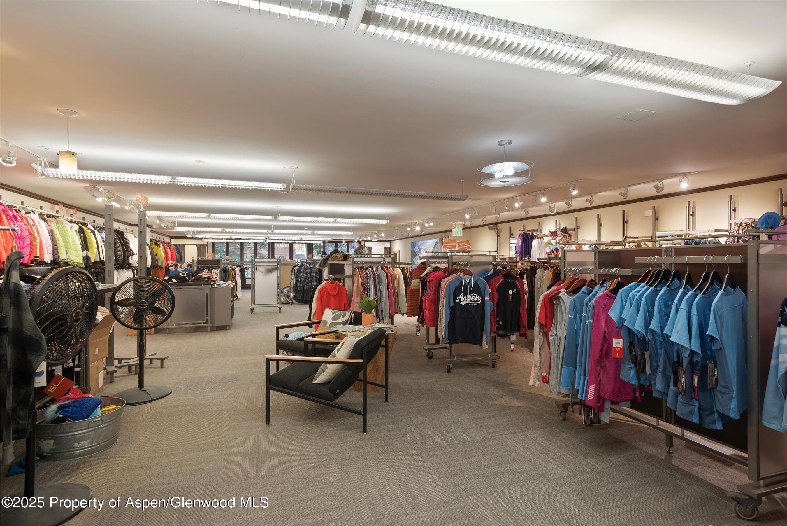 408 E Cooper Avenue, Aspen