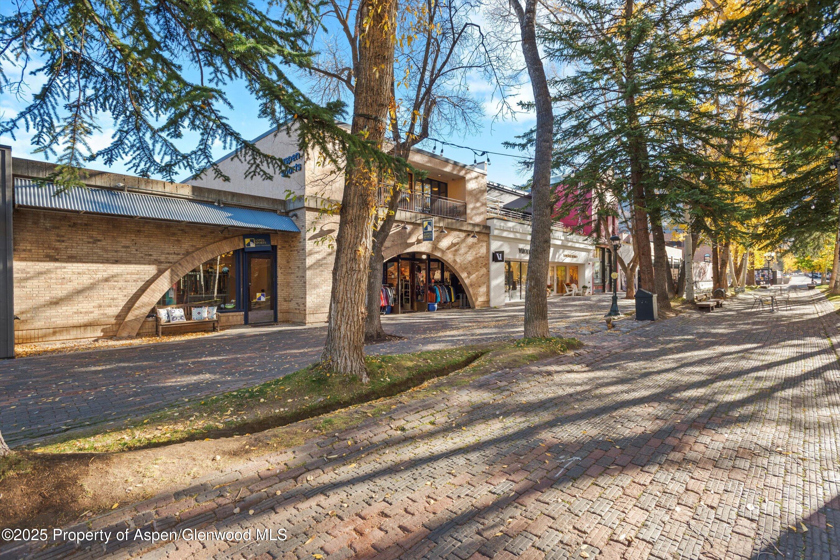 408 E Cooper Avenue, Aspen