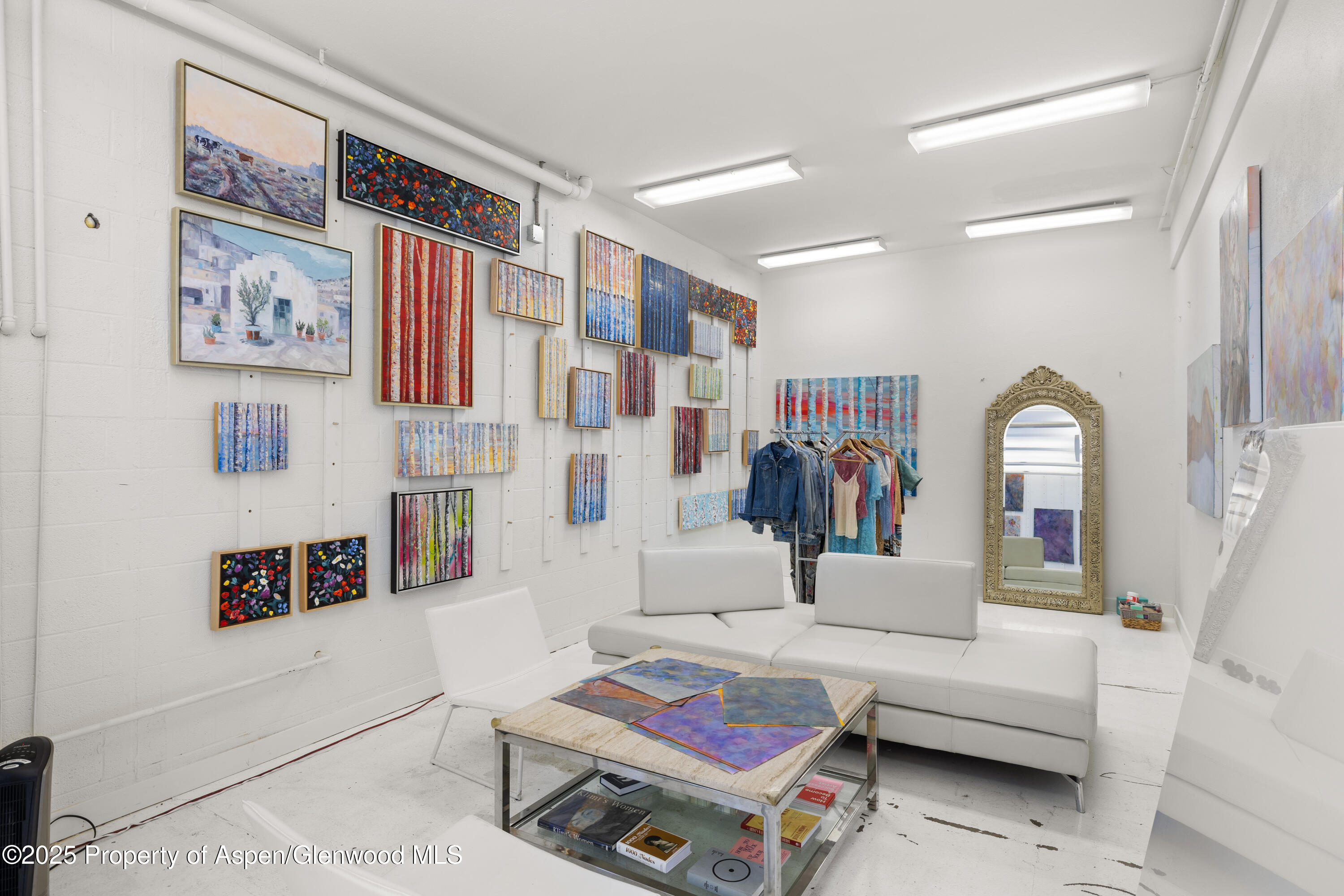 210 Aspen Airport Business