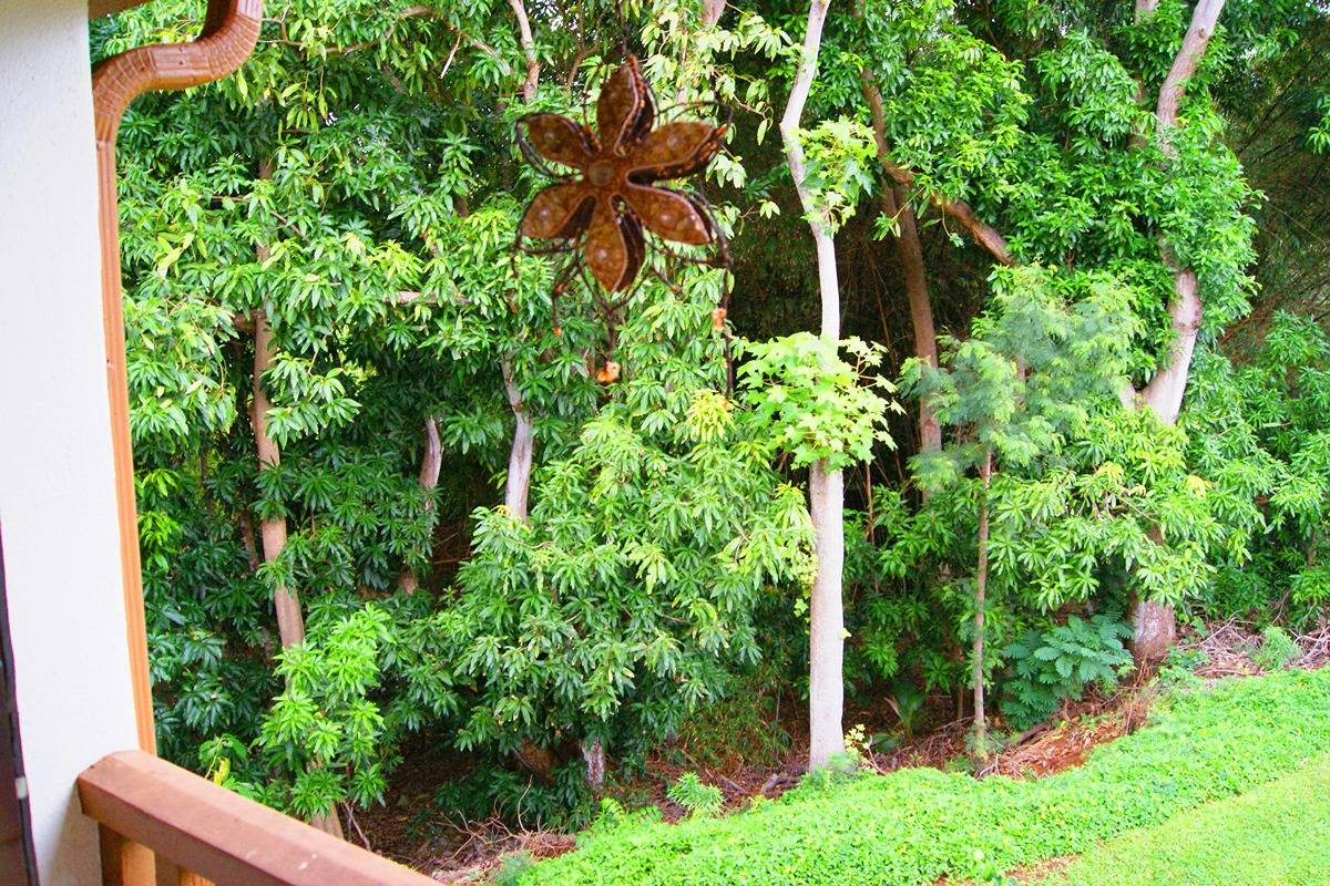 4701 KAWAIHAU RD E202