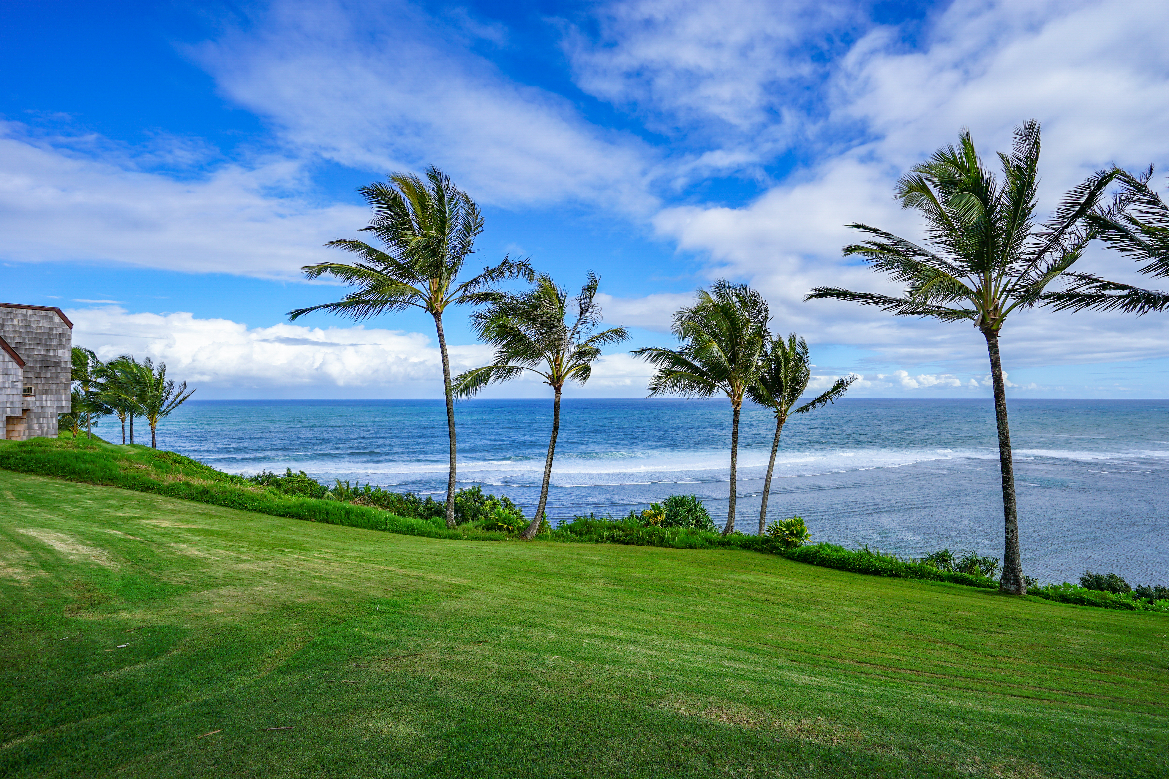 3700 KAMEHAMEHA RD H5