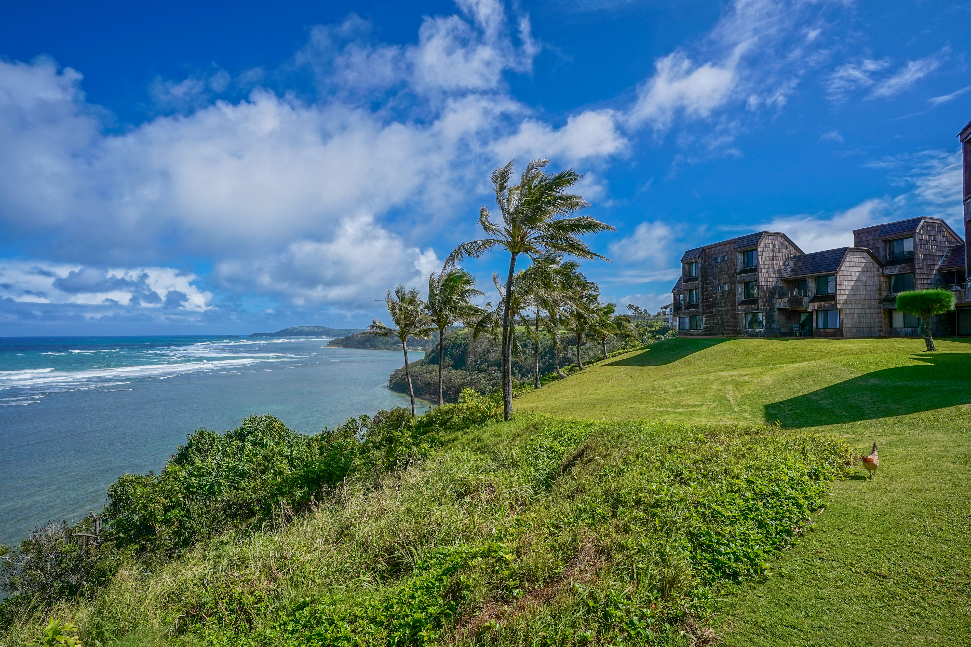 3700 KAMEHAMEHA RD H5