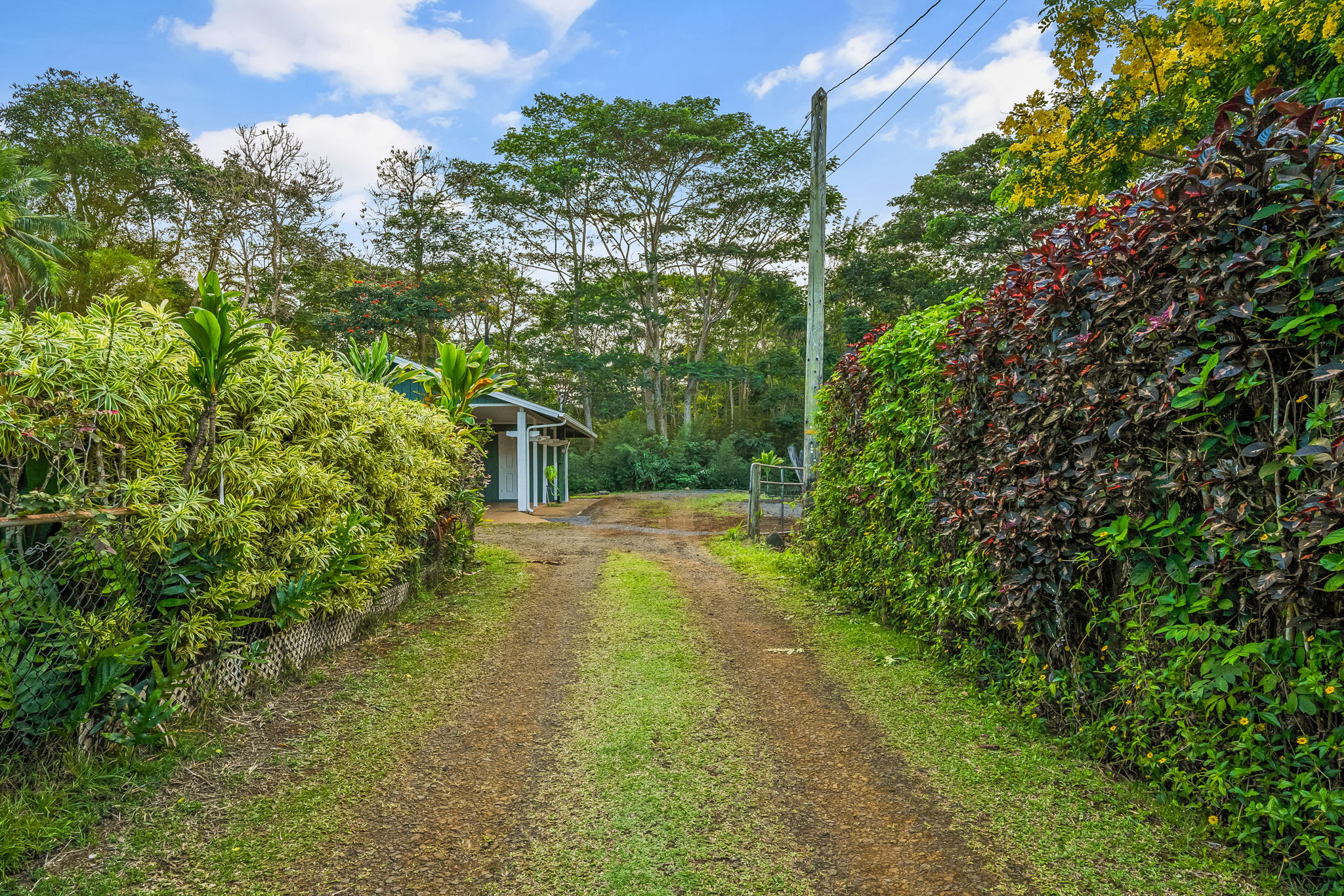 2009-A Kolo Rd
