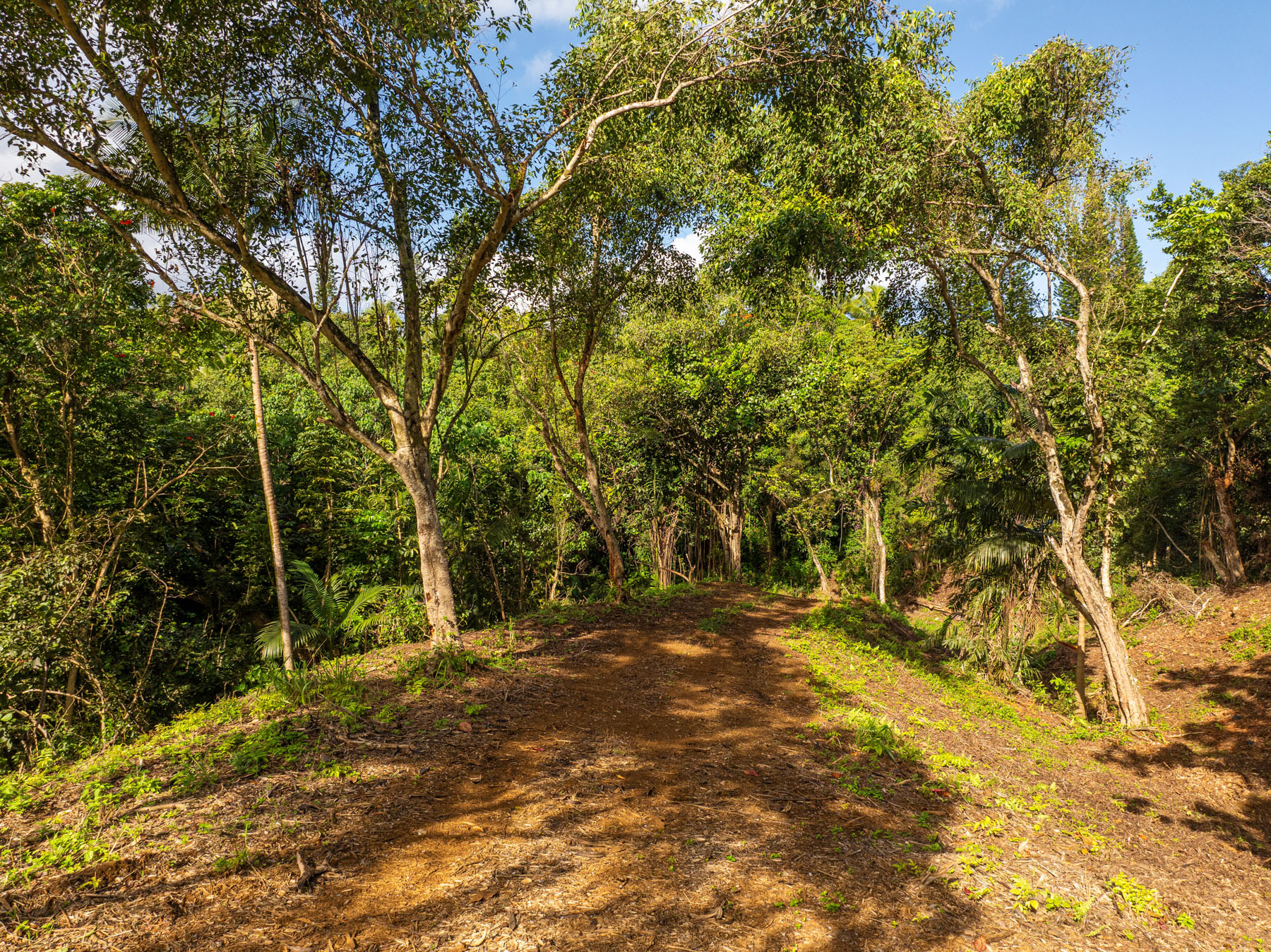 KAUI RD