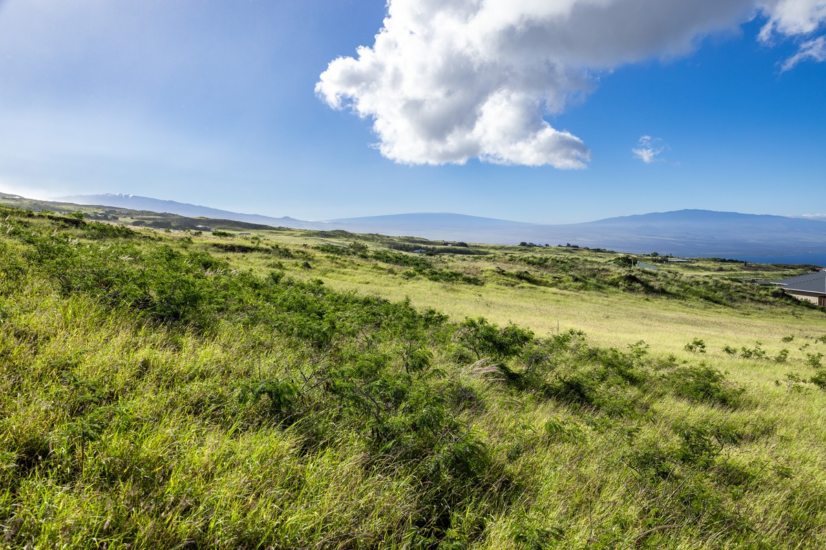 KaNani Dr