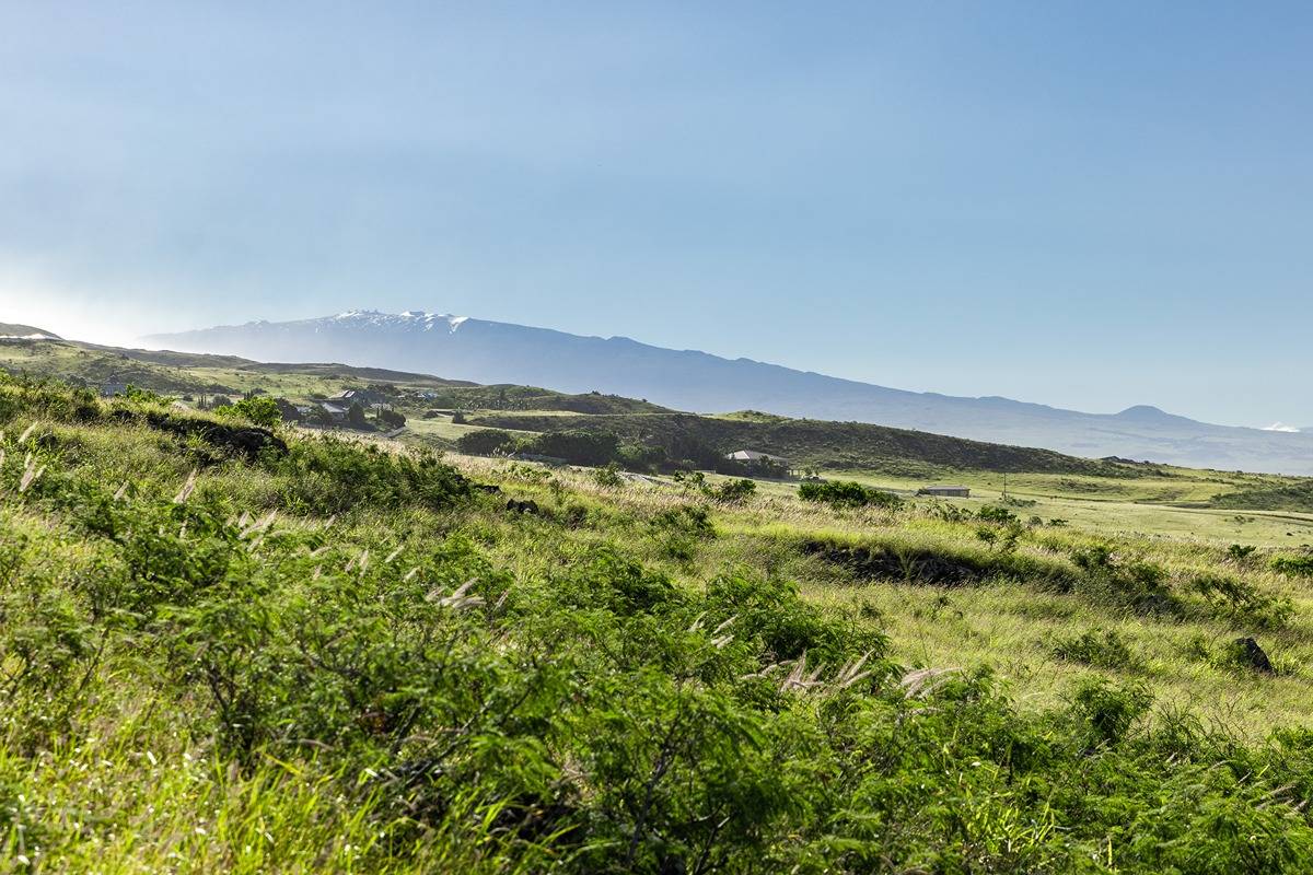 KaNani Dr