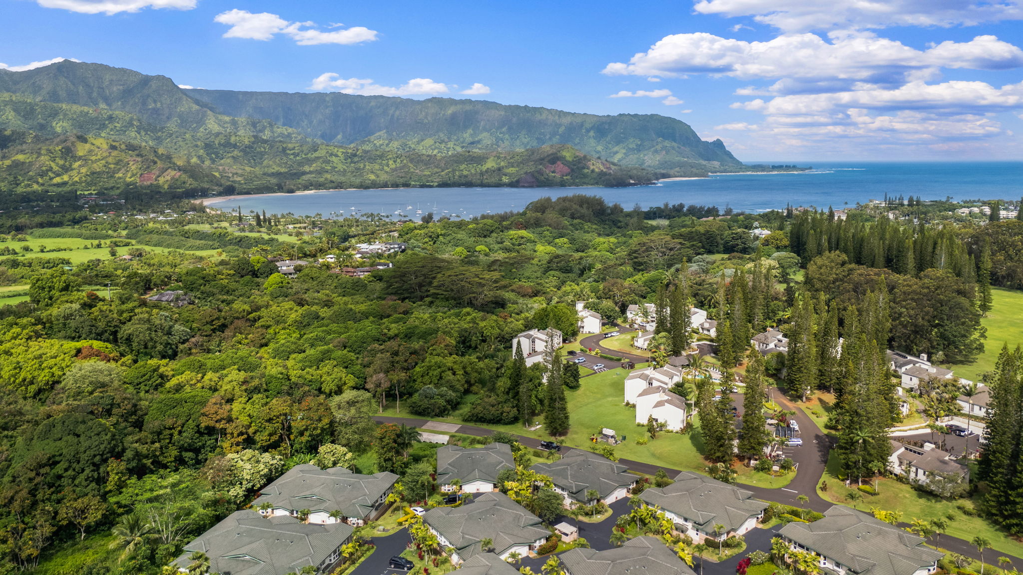 4141 LEI O PAPA RD 39