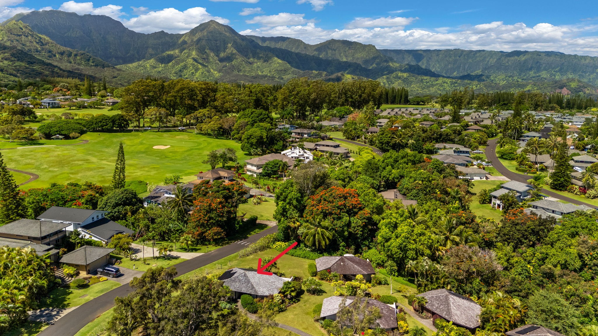3890 KAMEHAMEHA RD 1