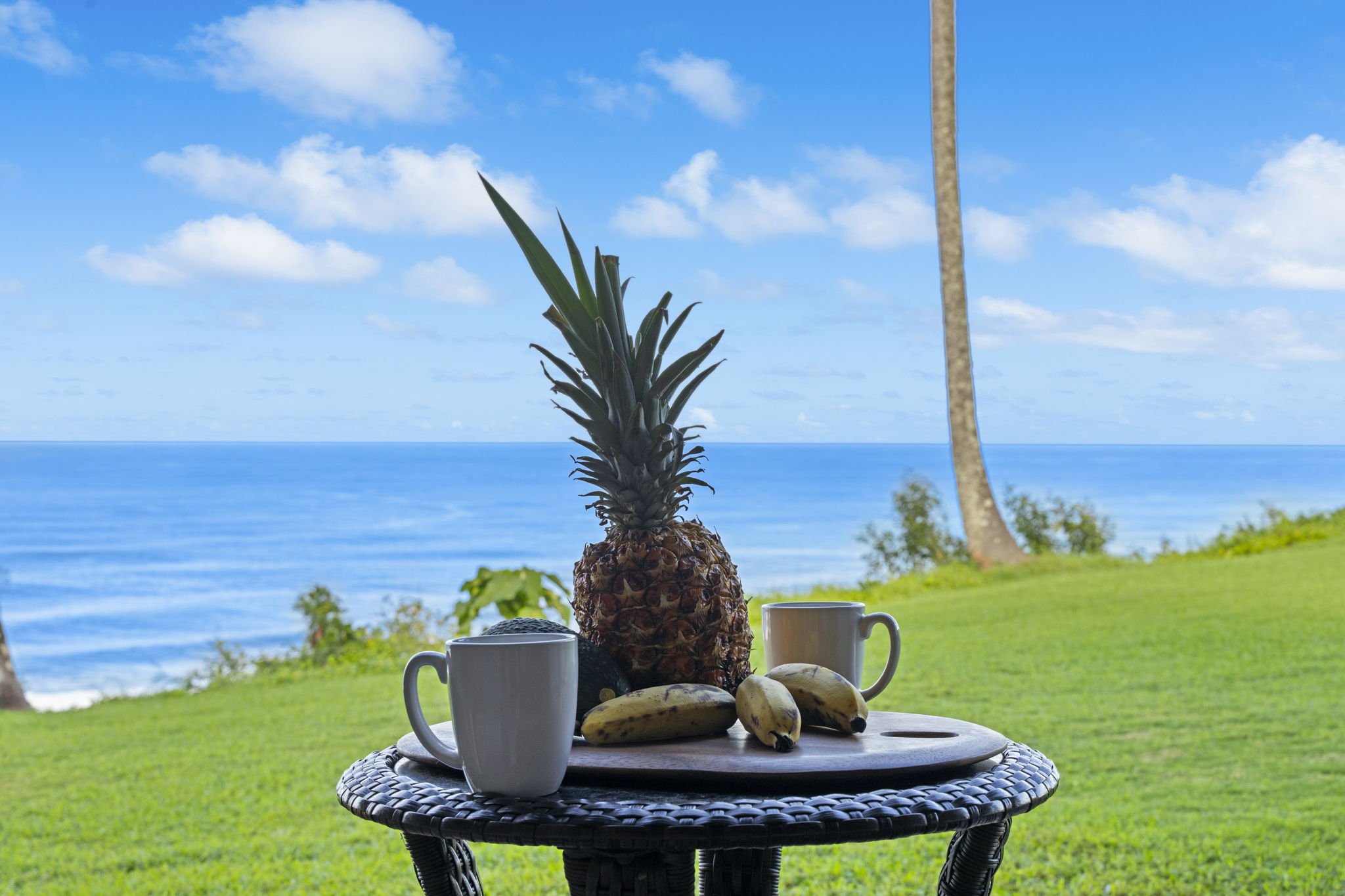 3700 KAMEHAMEHA RD A1