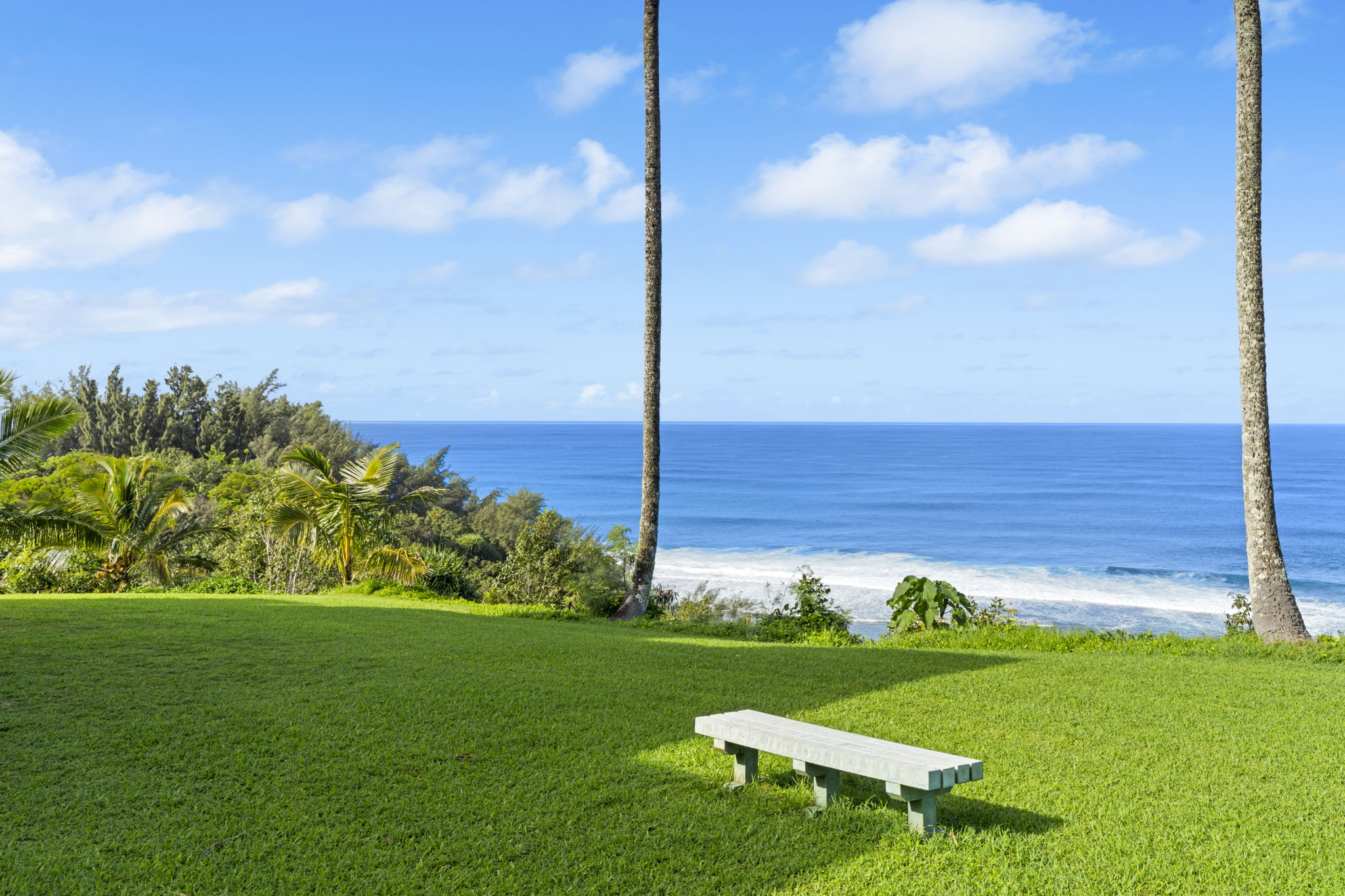 3700 KAMEHAMEHA RD A1