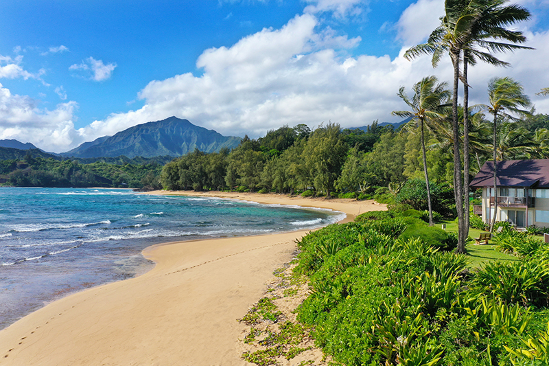 5-7130 KUHIO HWY J3 Dec/Jan - #1
