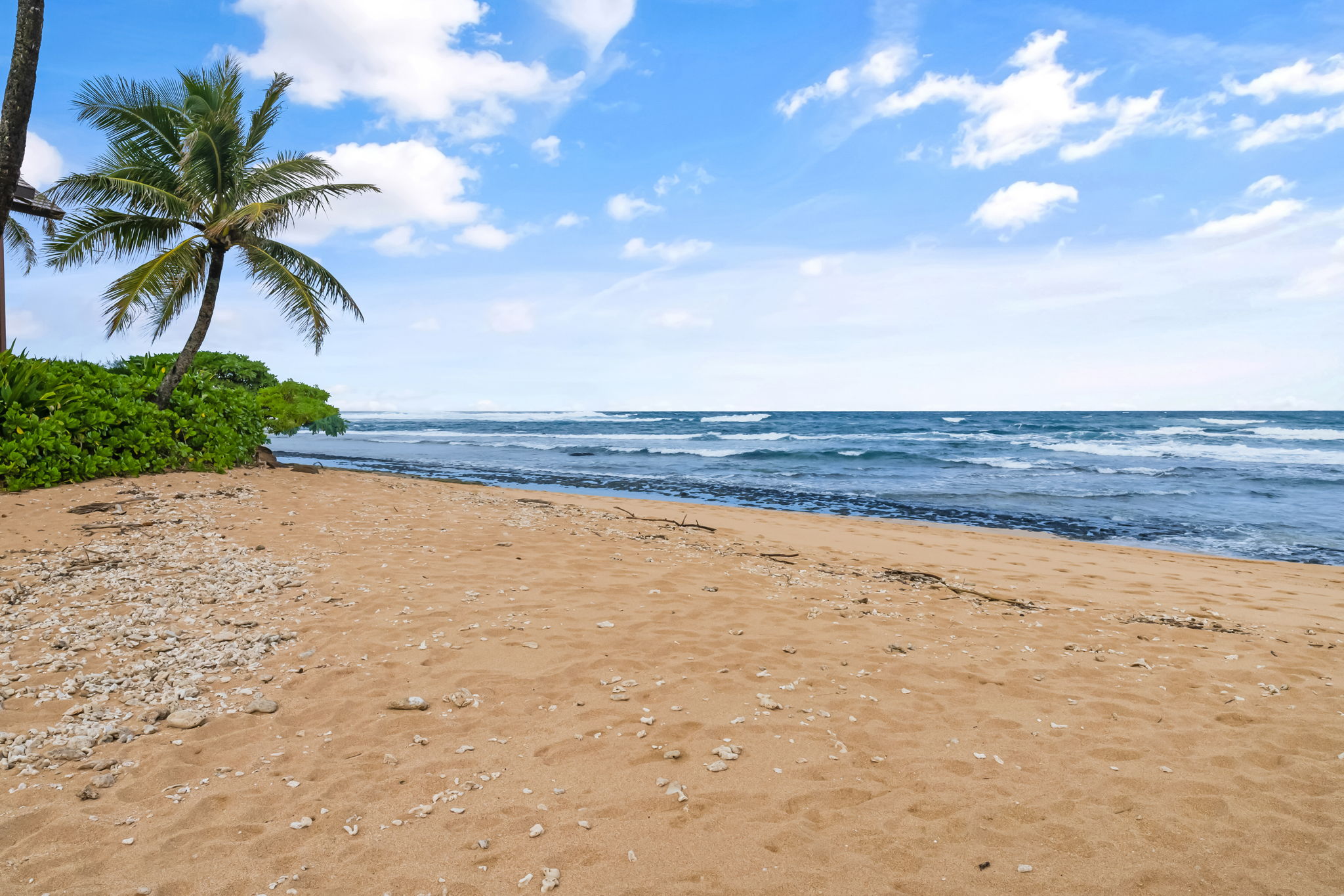 5-7130 KUHIO HWY J3 Dec/Jan - #1