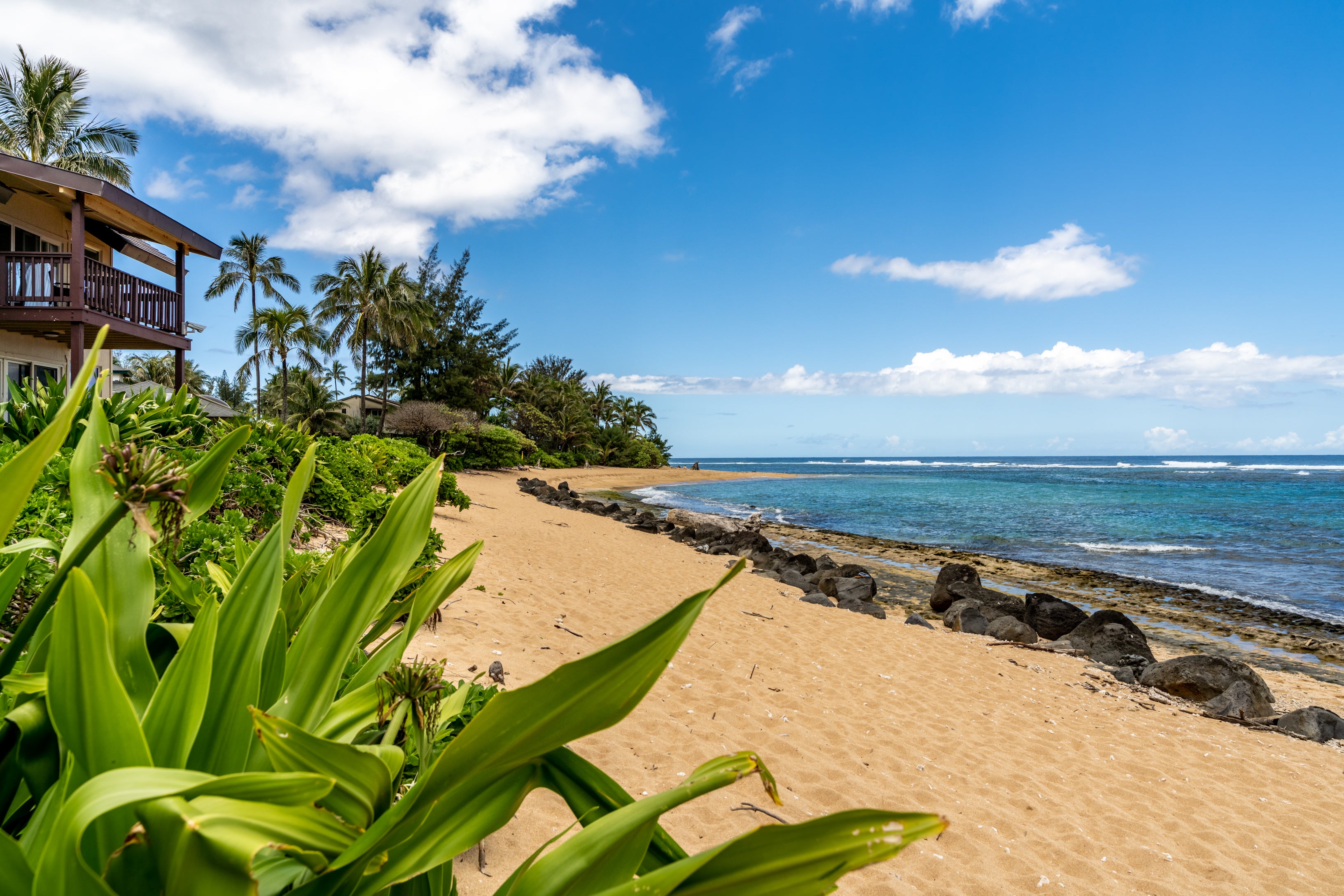 5-7130 KUHIO HWY H1