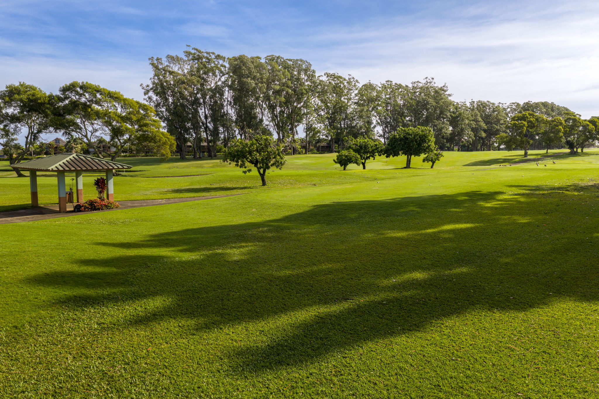 EMMALANI DR Lot 43