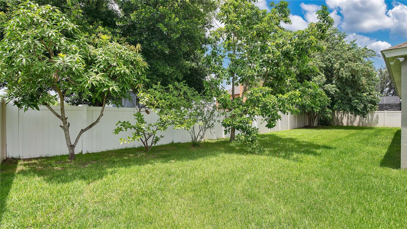 444 LAKE AMBERLEIGH DR