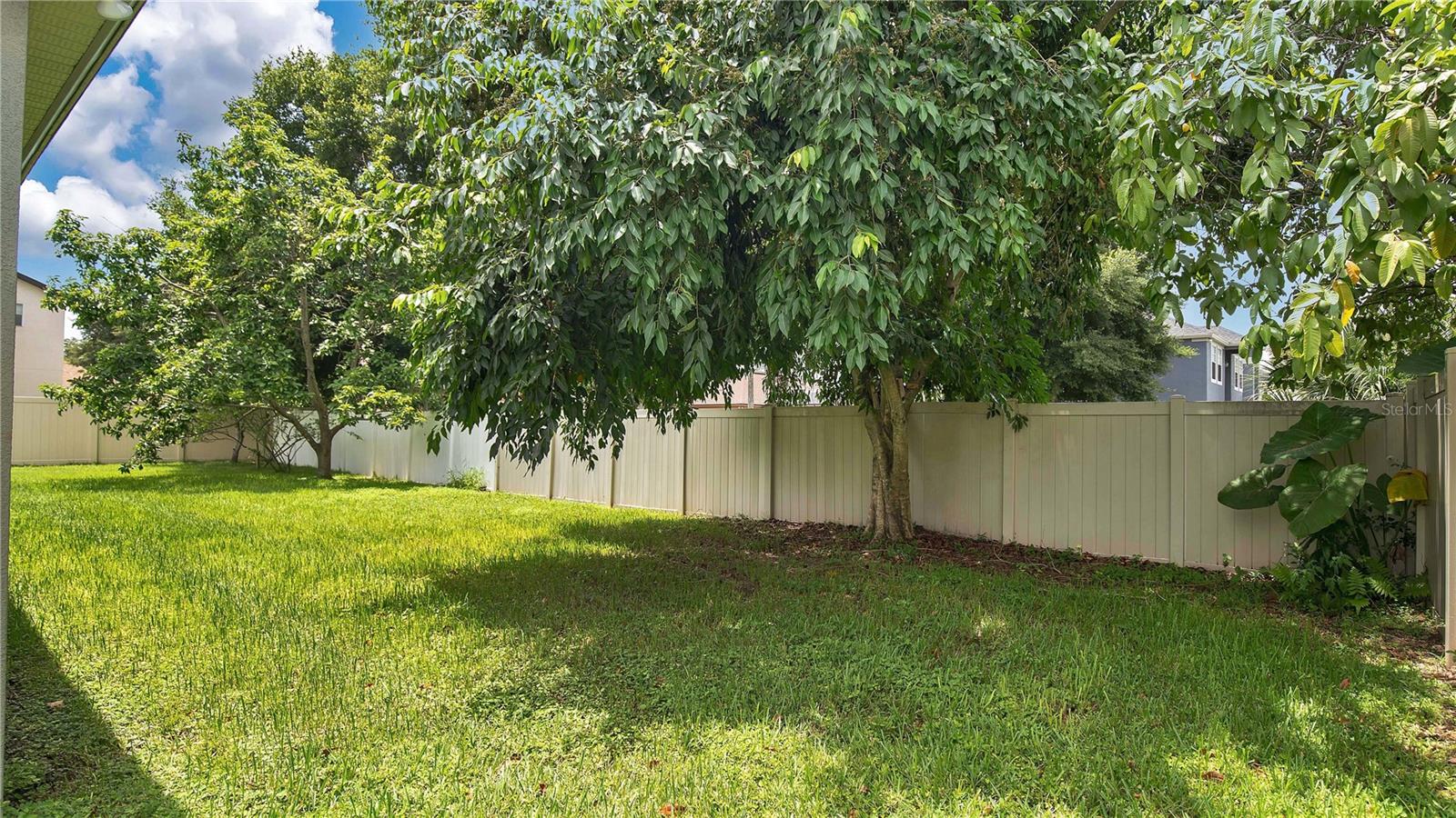 444 LAKE AMBERLEIGH DR