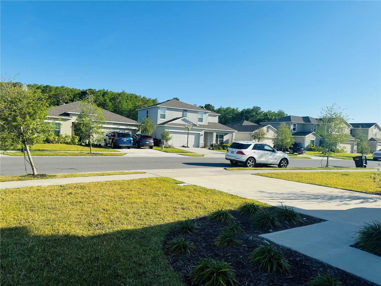 4239 SOUTHERN VISTA LOOP