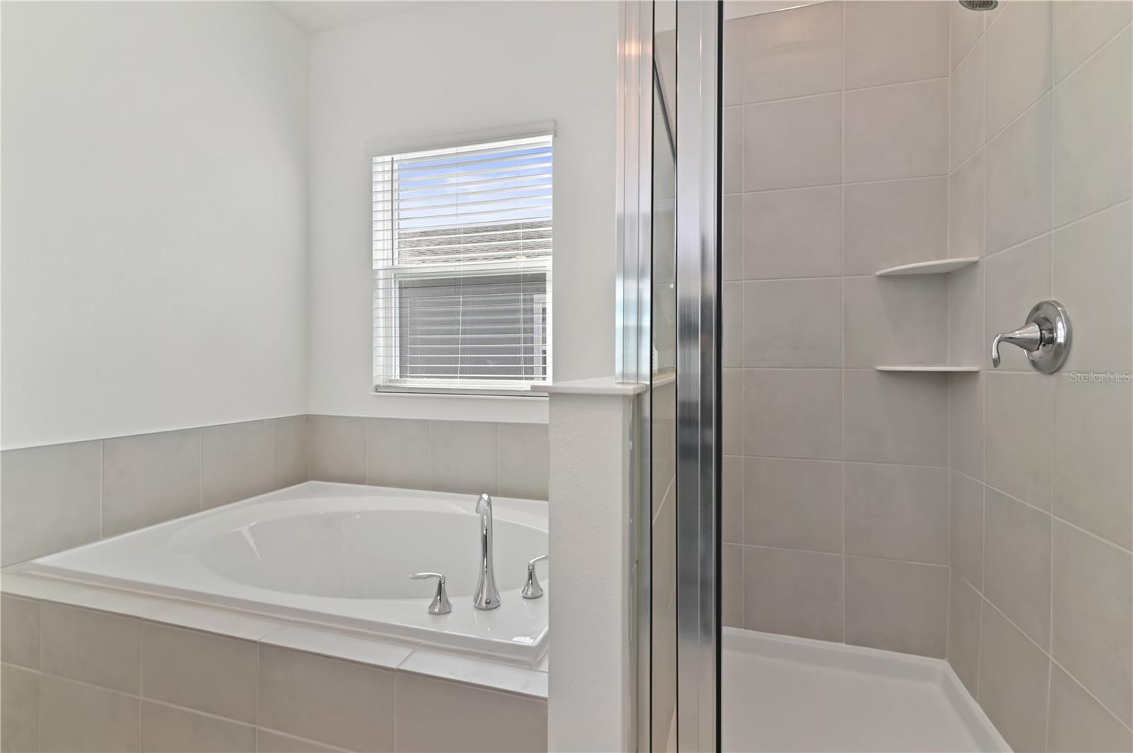 6446 LIMBERPINE ALY
