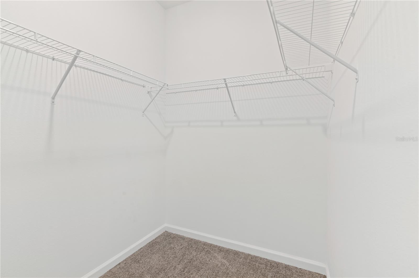 6446 LIMBERPINE ALY