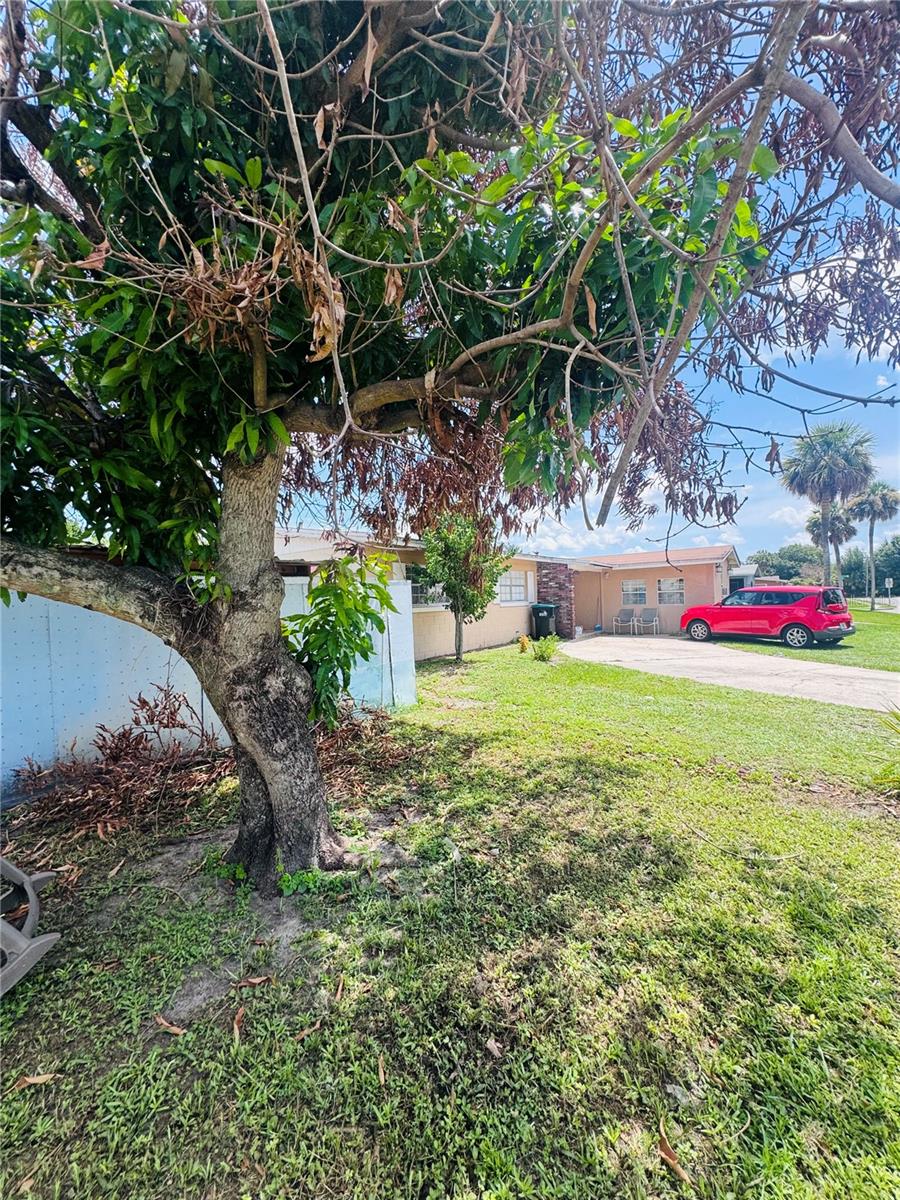 767 FORESTER AVE
