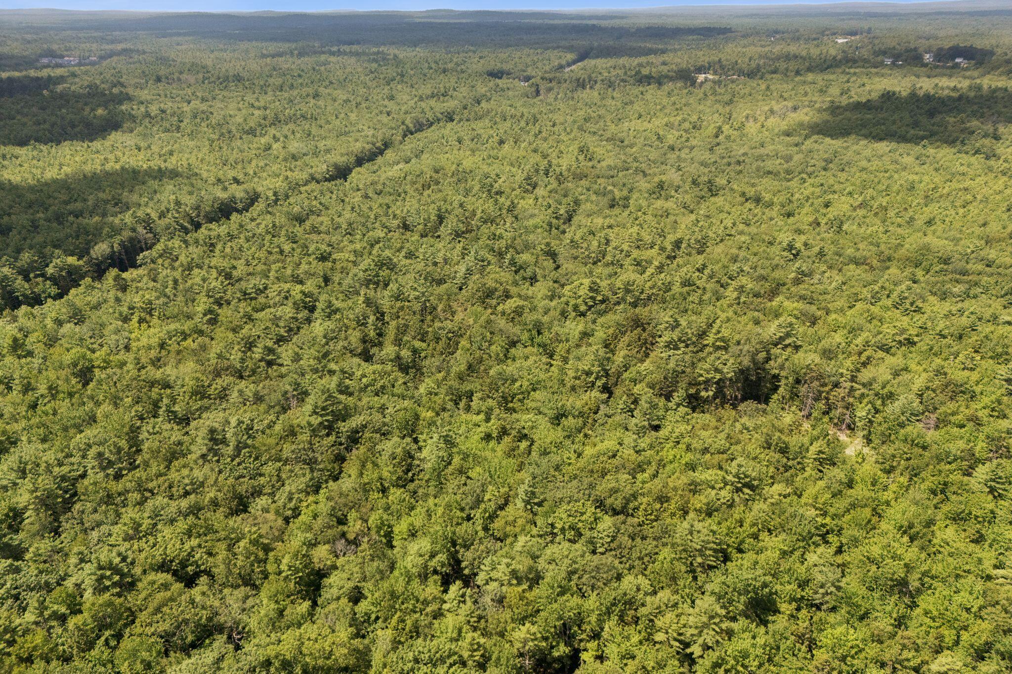 Aerial view of densely forested land stretching toward distant hills.