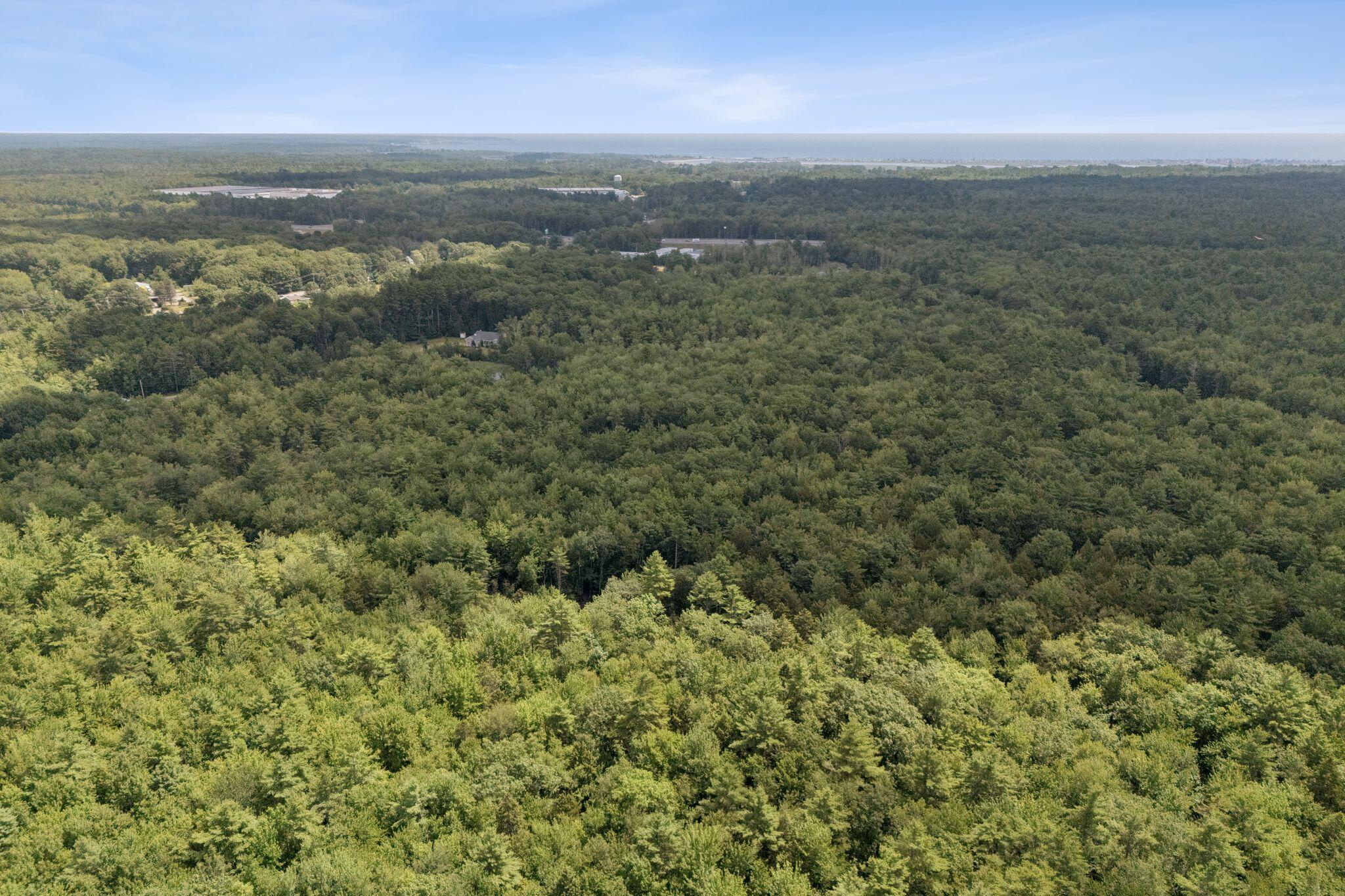 Aerial view of densely wooded land, with distant roads and water near the horizon.