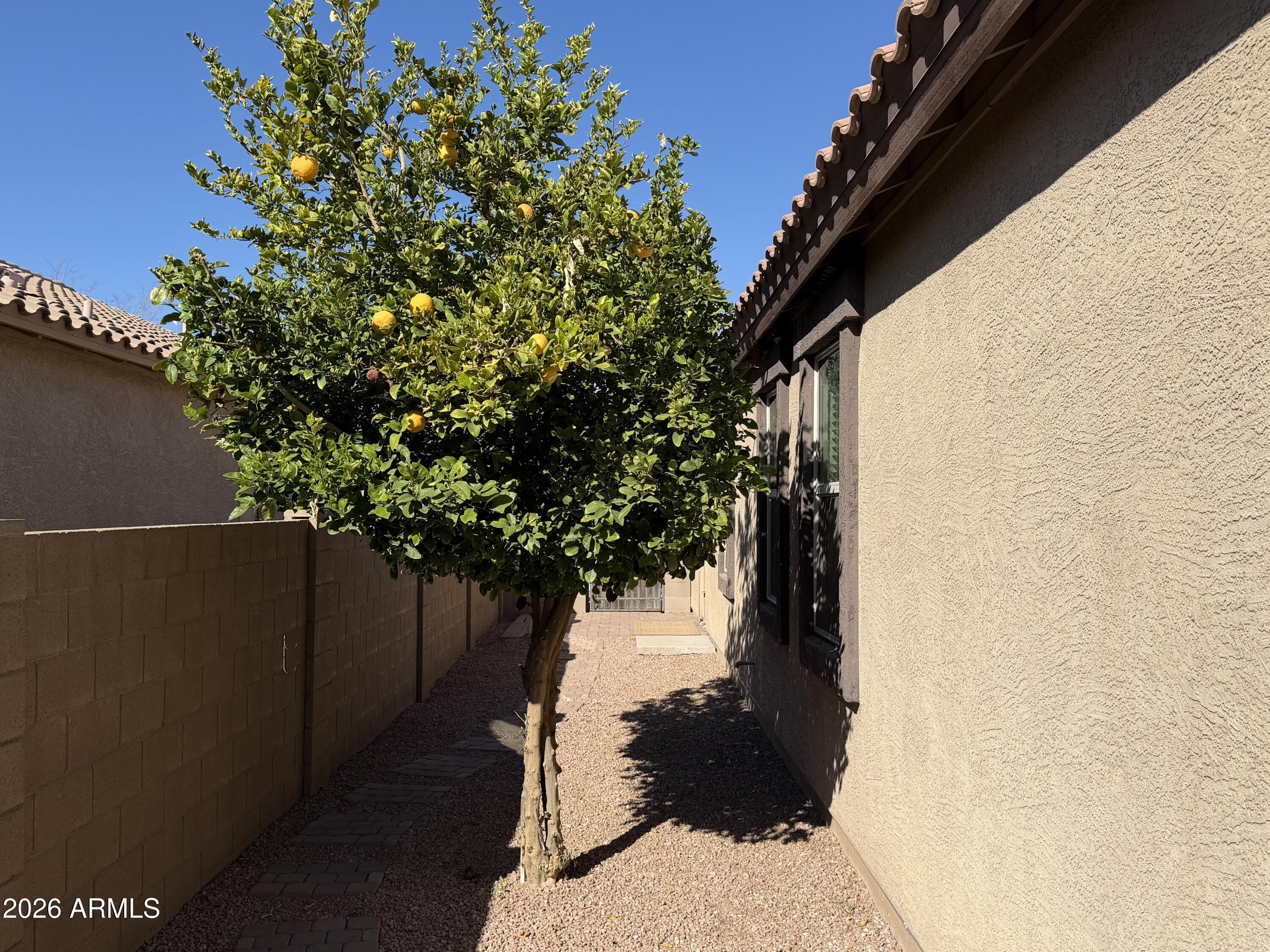 41113 W CURTIS Lane