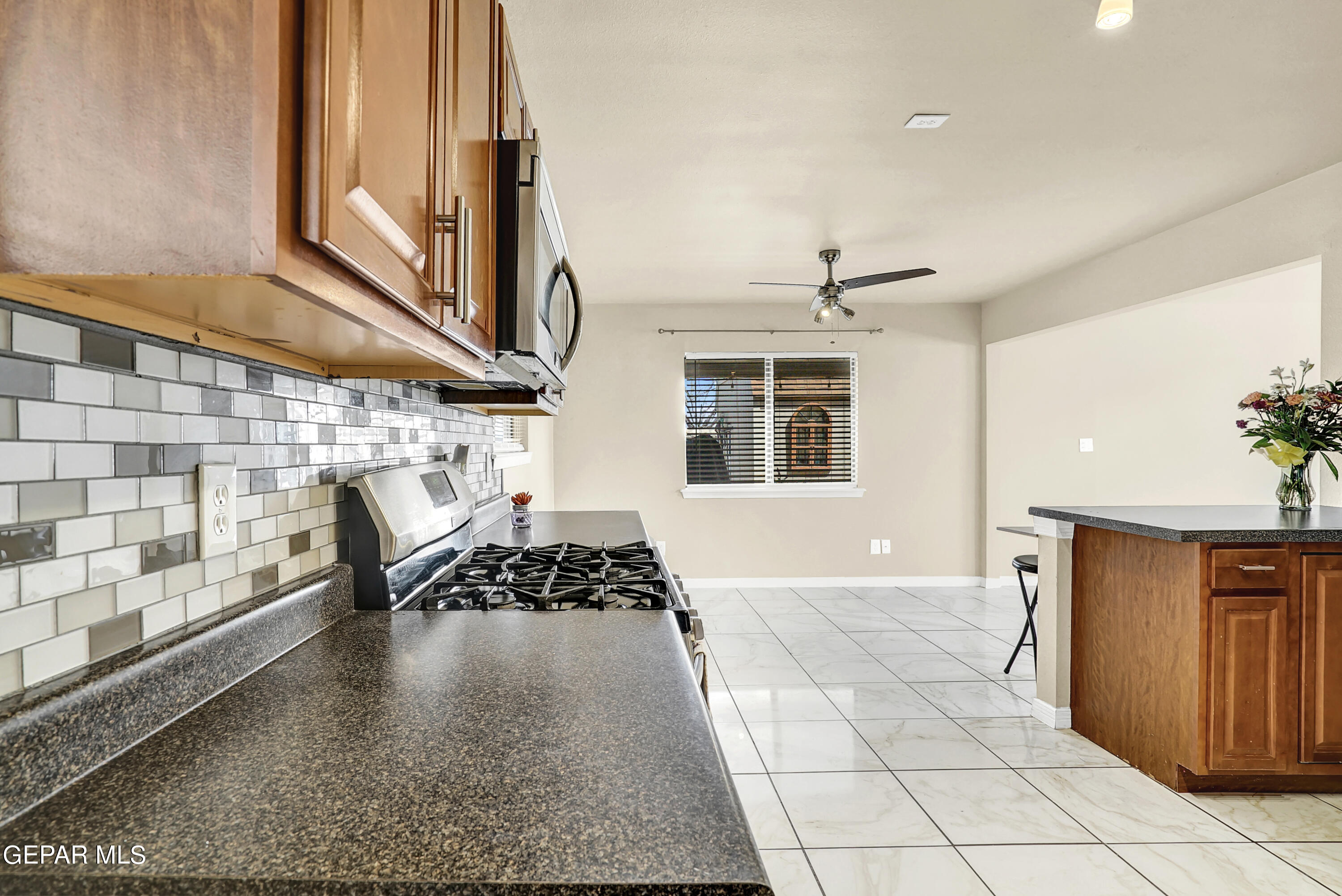11364 BEACH FRONT Drive, A & B