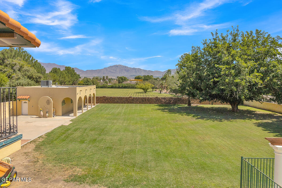 5426 DAVIS CUP Court