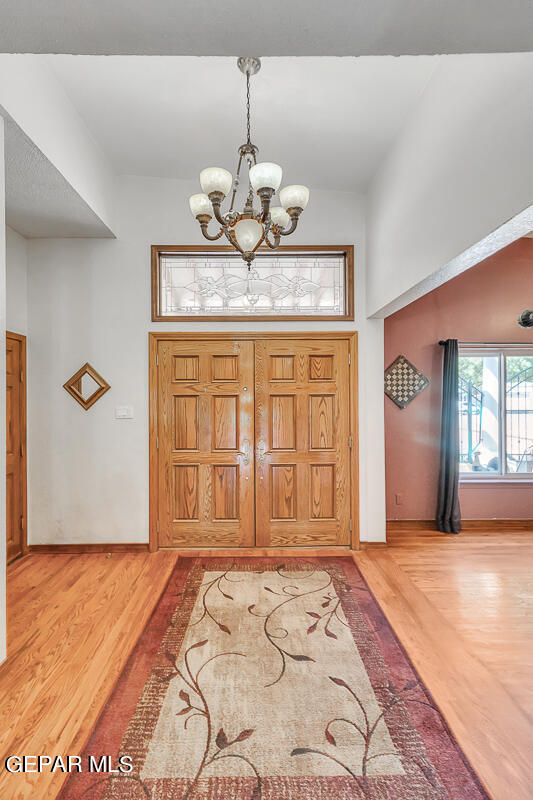5426 DAVIS CUP Court