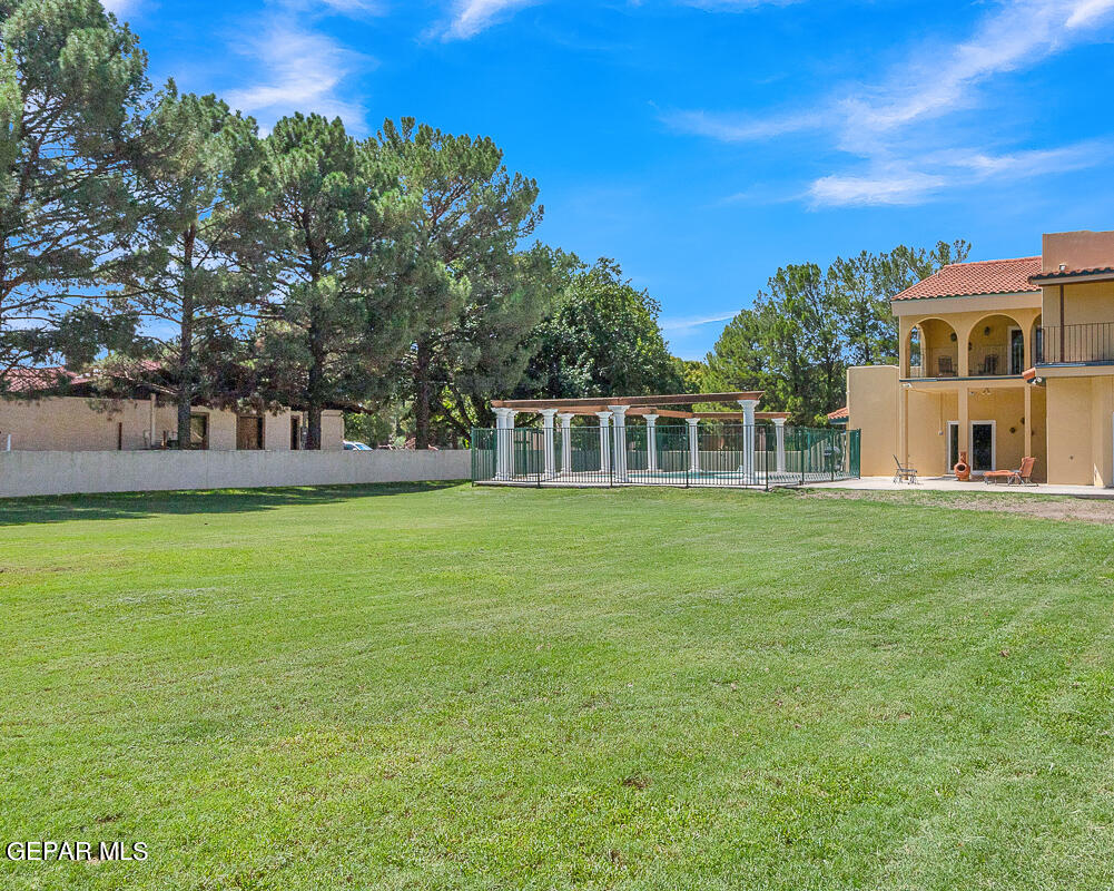 5426 DAVIS CUP Court