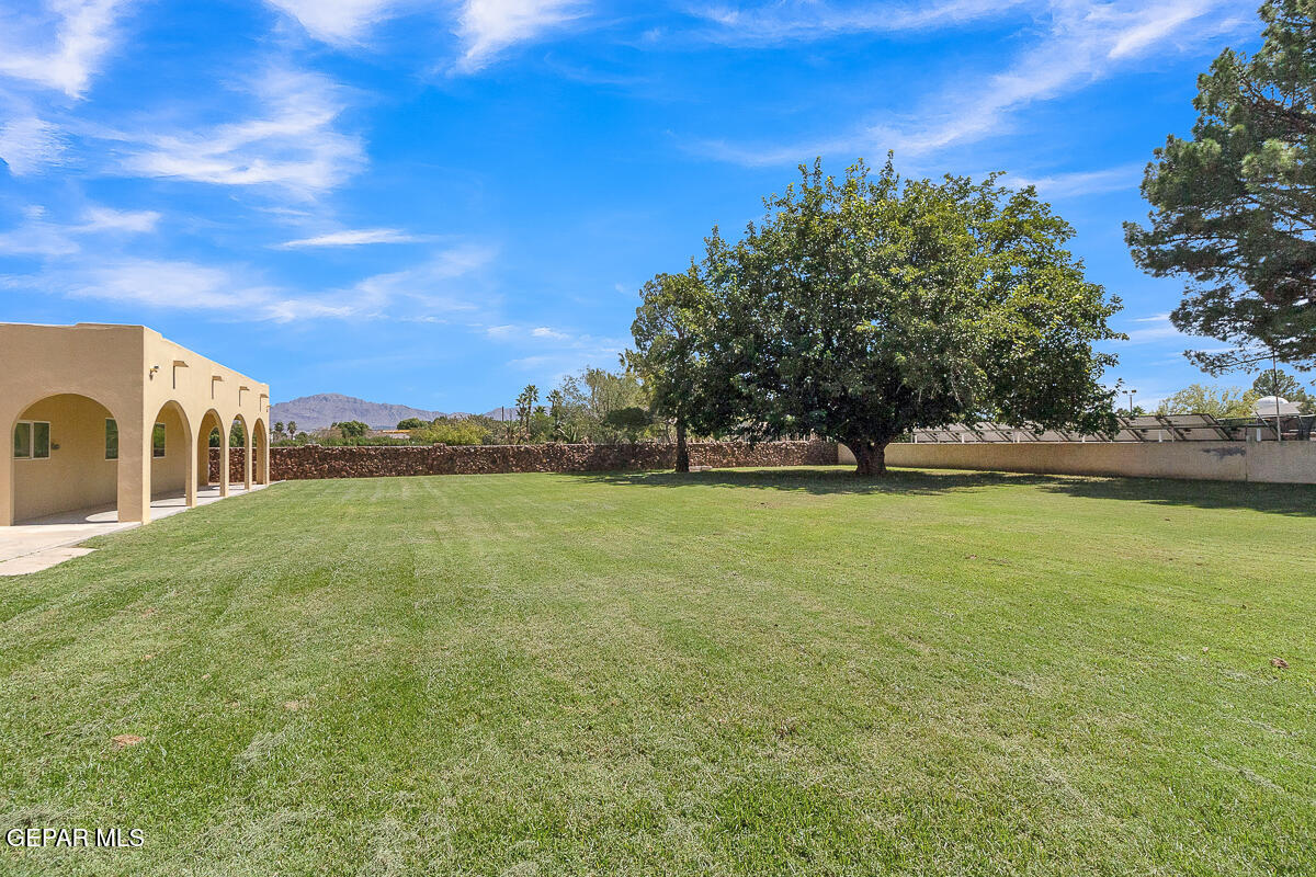 5426 DAVIS CUP Court