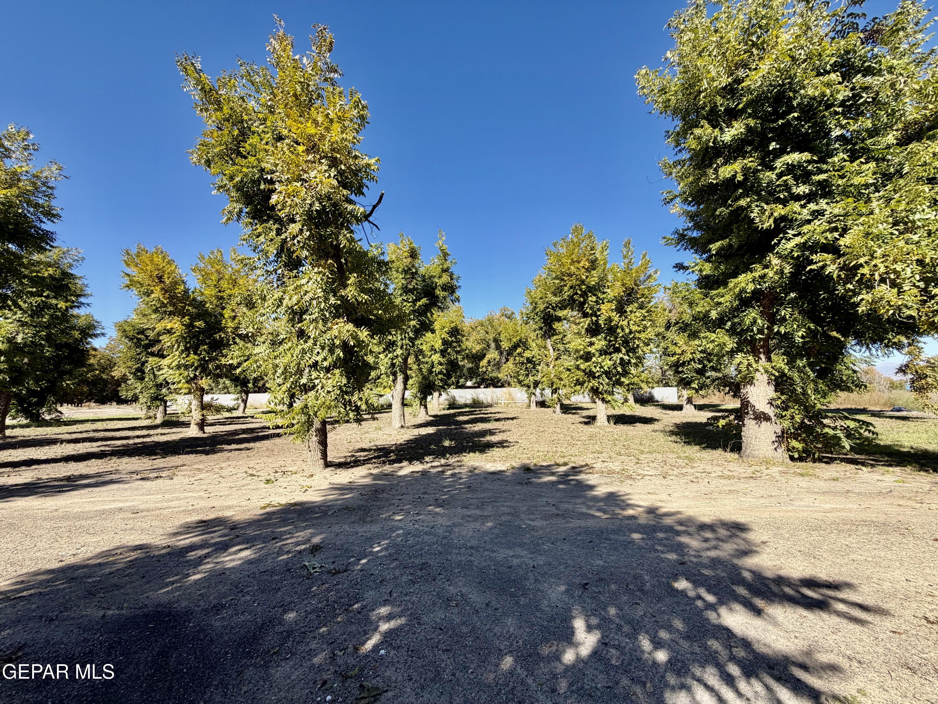 2452 W O'Hara Road