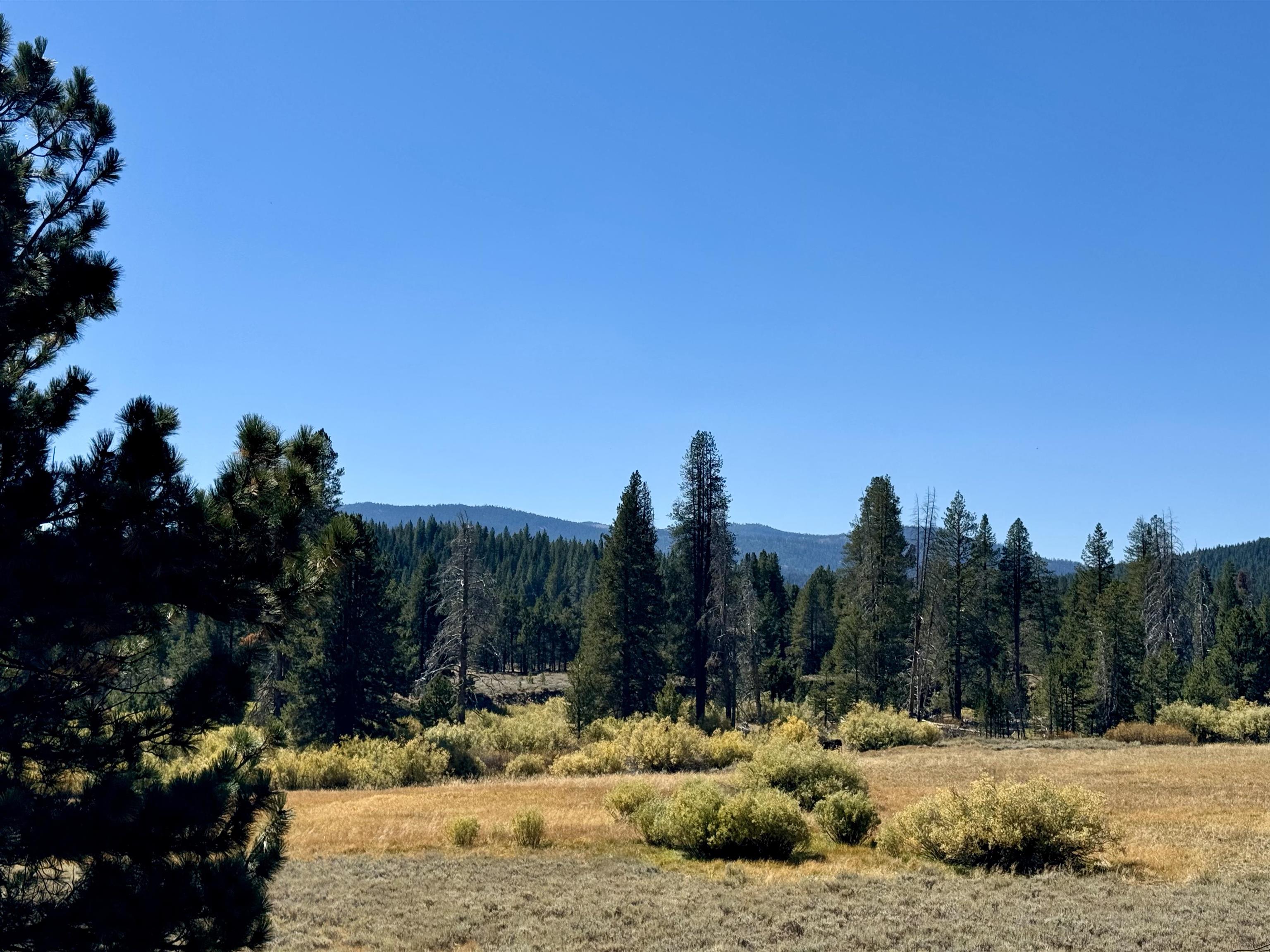 1001 Henness Pass Road