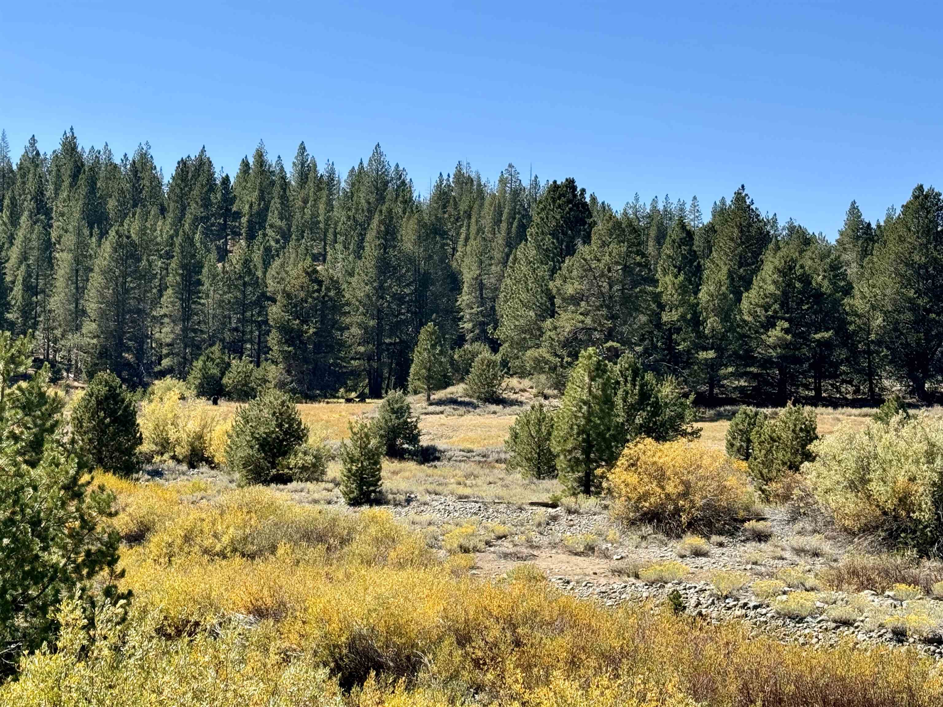 1001 Henness Pass Road