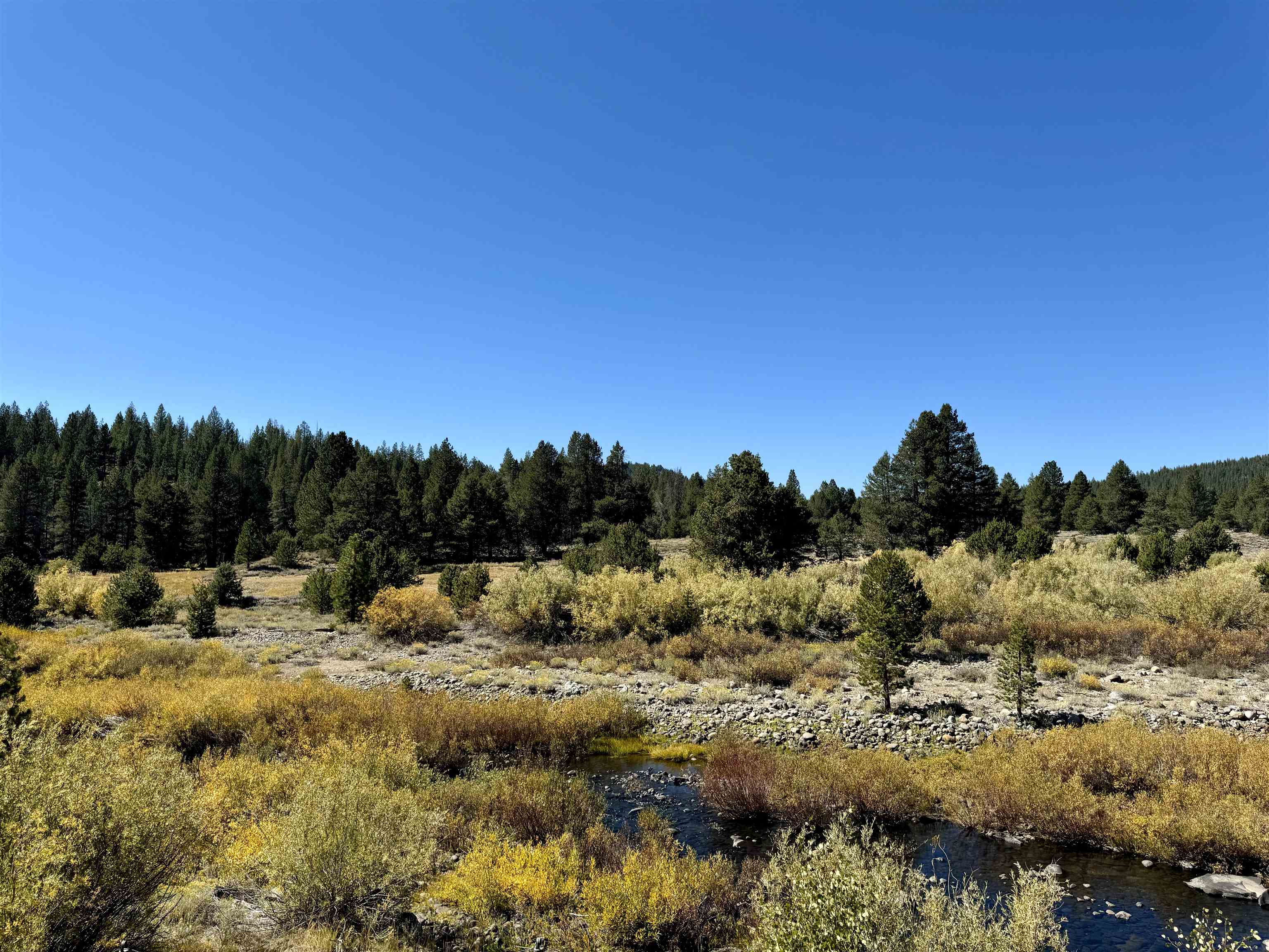 1001 Henness Pass Road