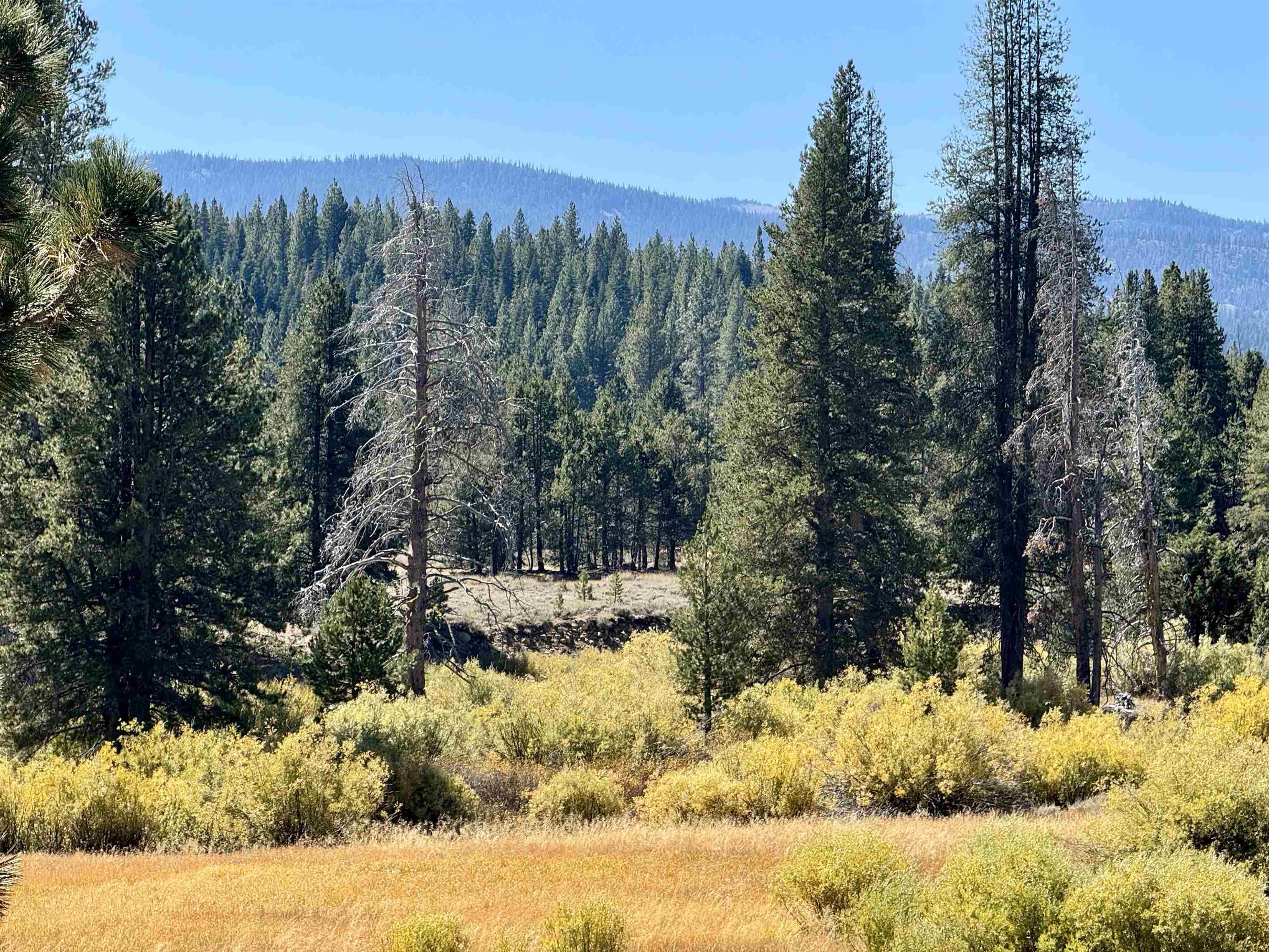 1001 Henness Pass Road