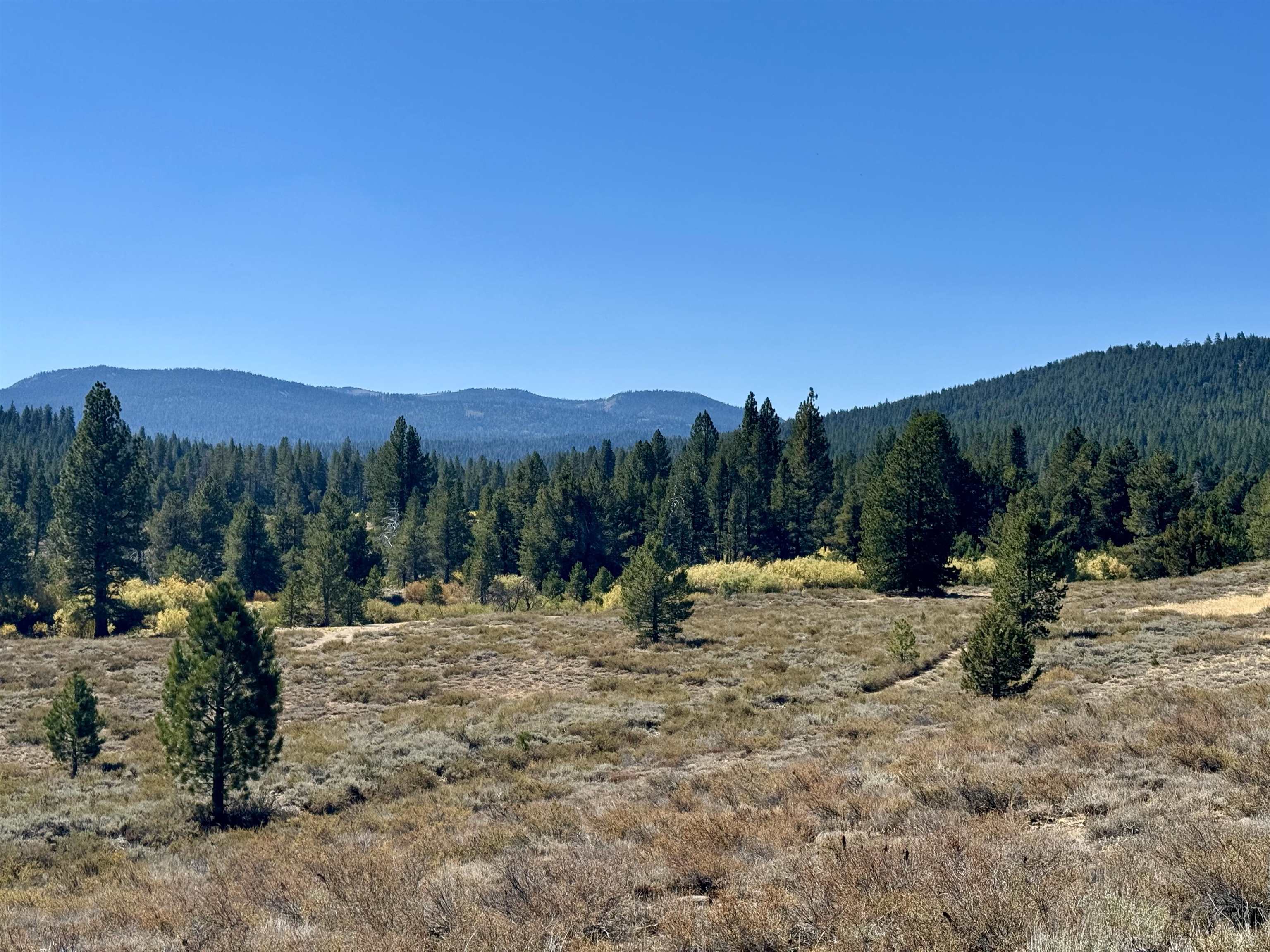 1001 Henness Pass Road
