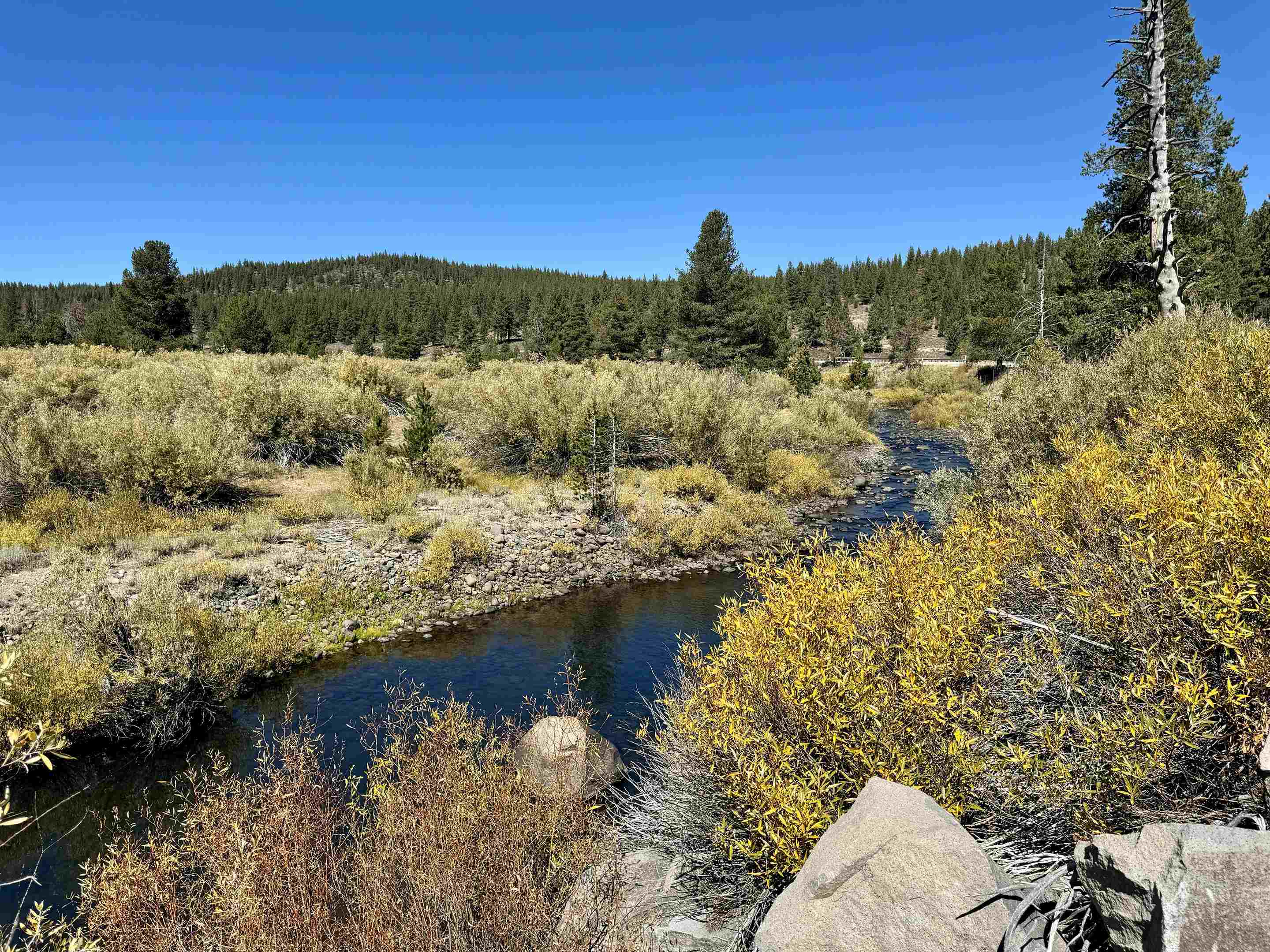 1001 Henness Pass Road