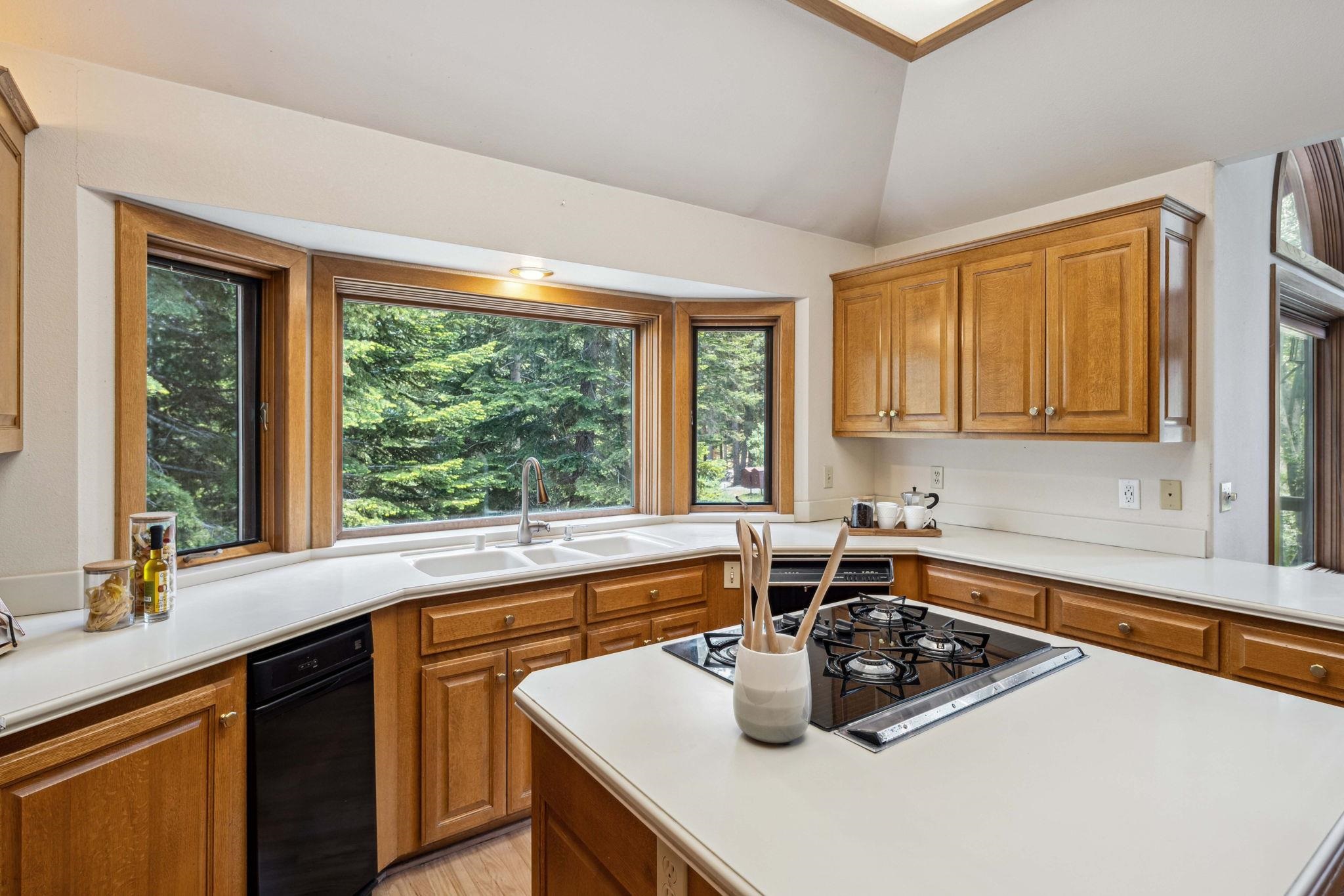11696 Tundra Drive