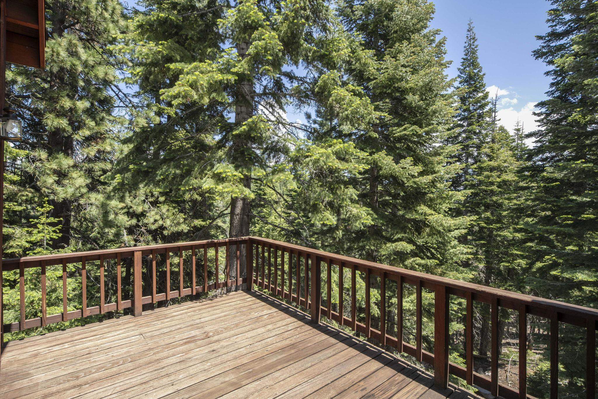 11696 Tundra Drive