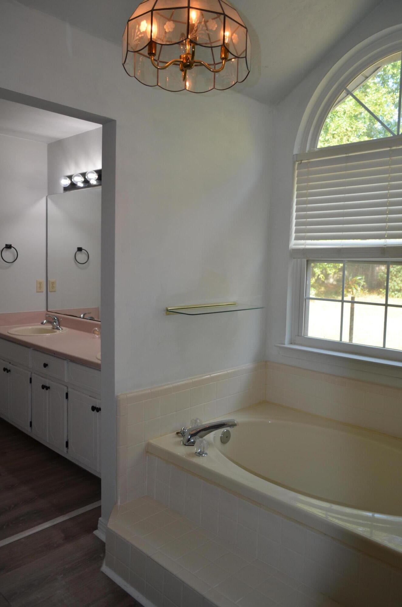 118 Meadow Woods Lane