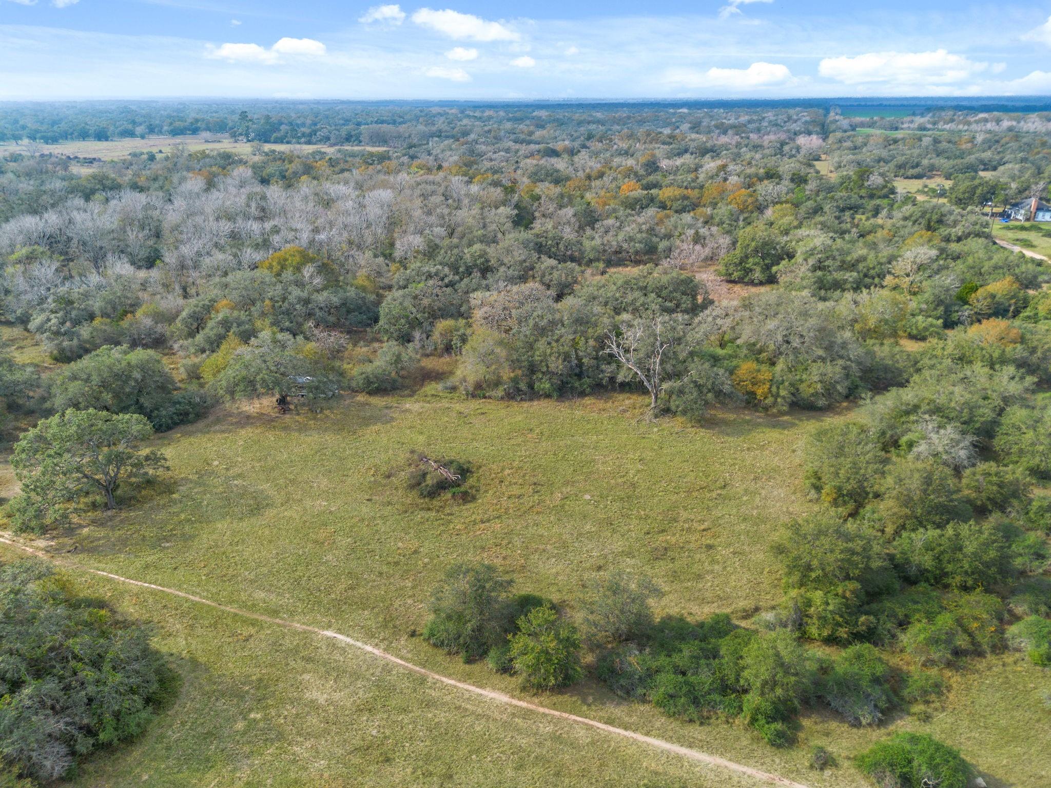 00 Dewberry Lane