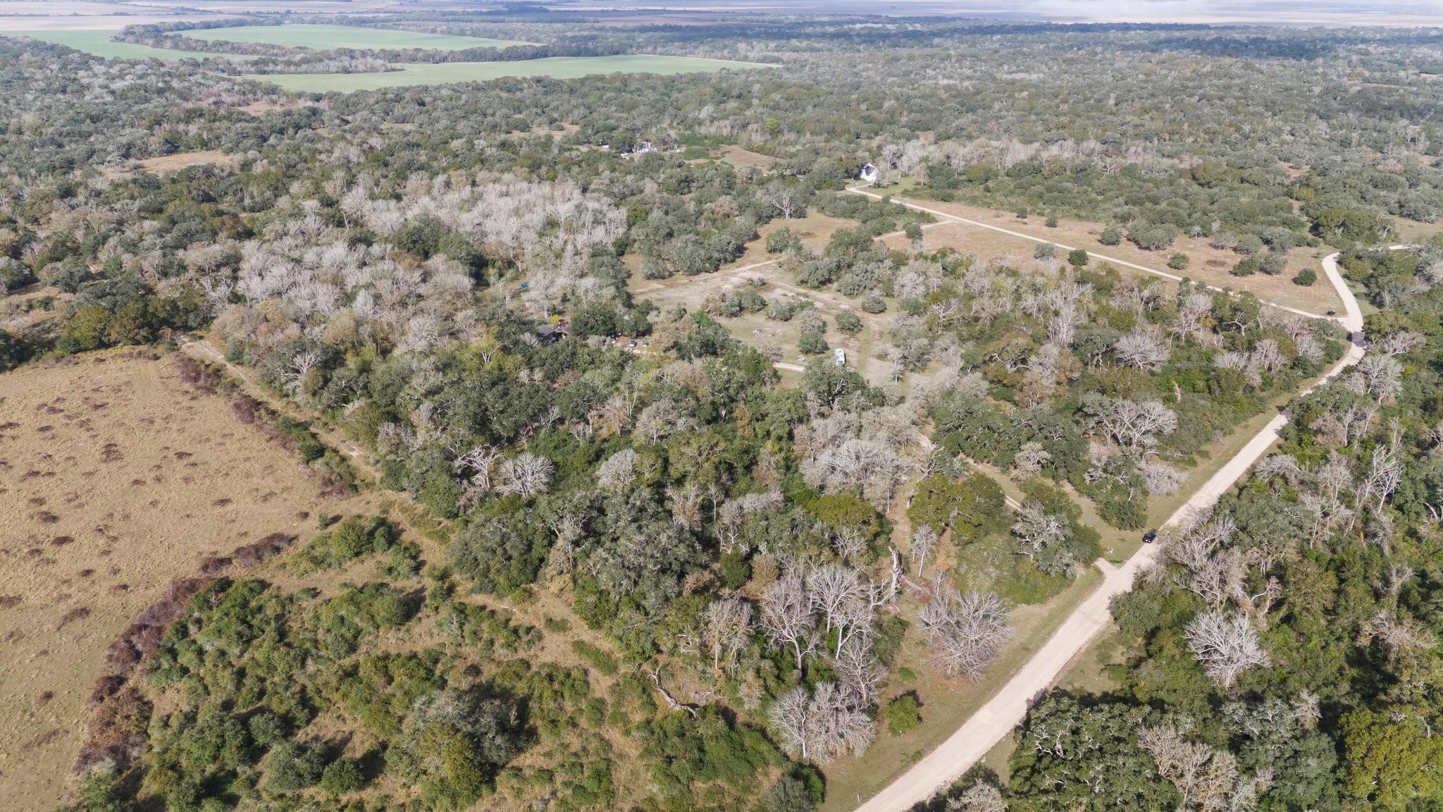 00 Dewberry Lane