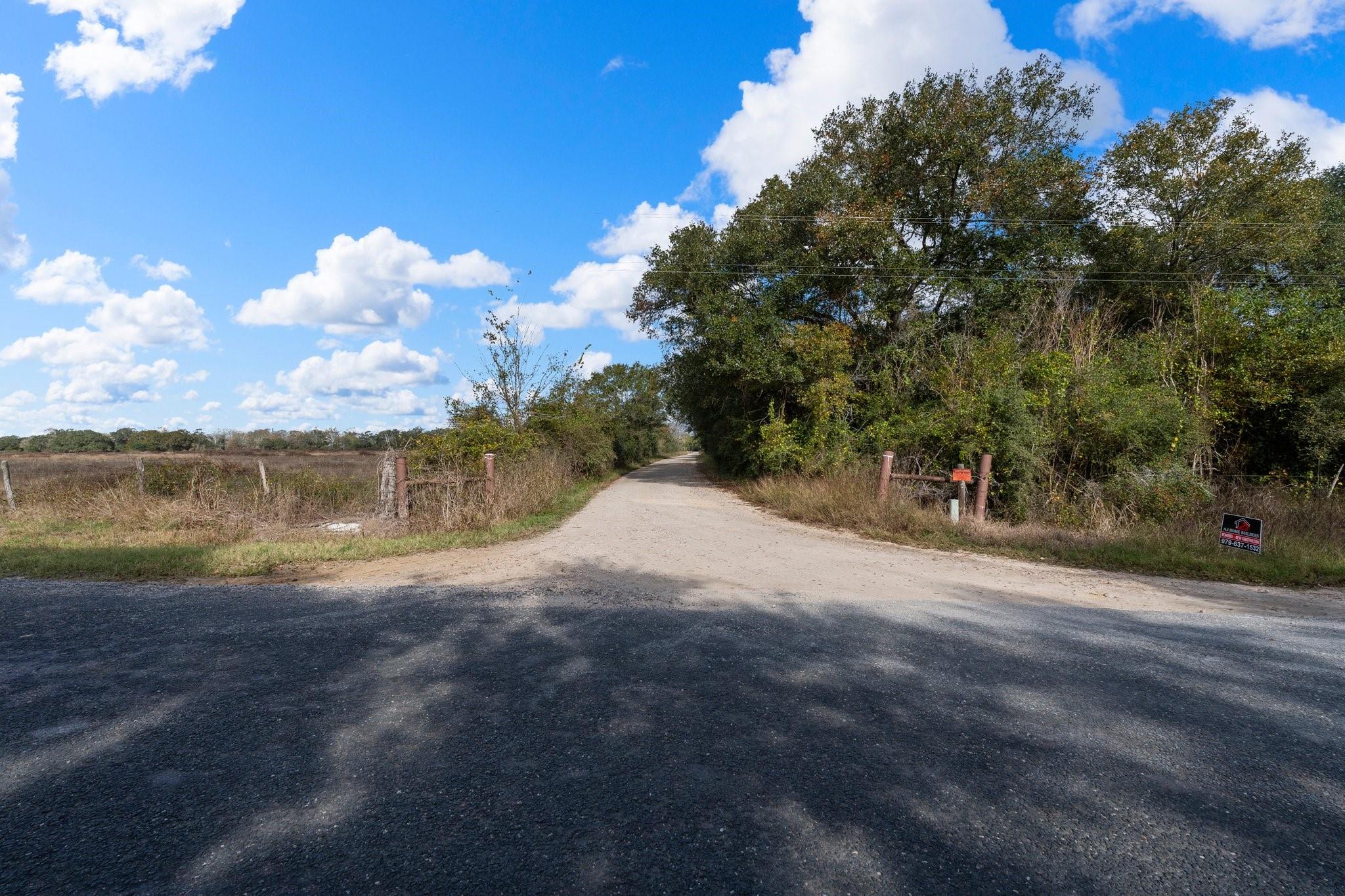 00 Dewberry Lane