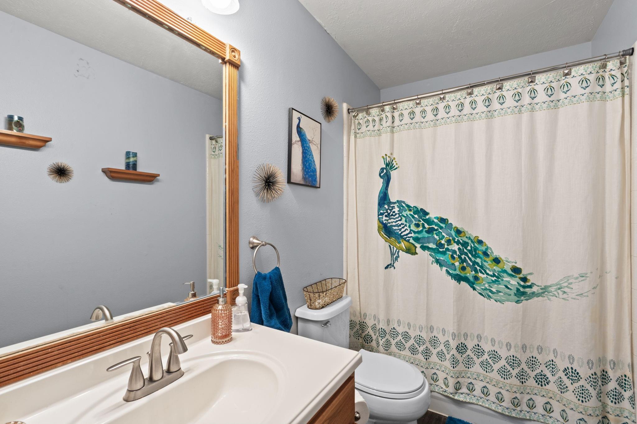 15227 Inks Lake Drive