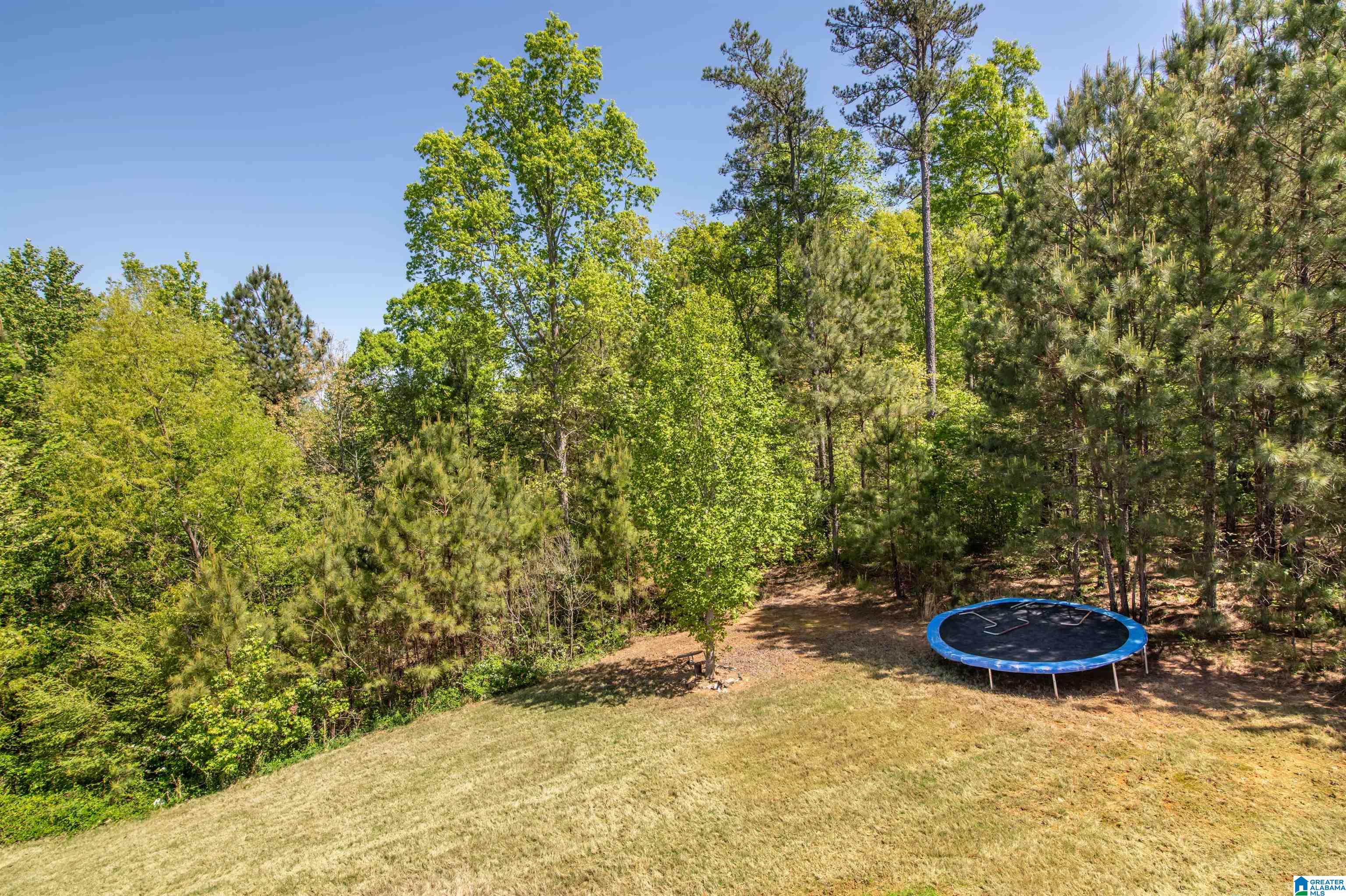 820 BROOKHAVEN DRIVE